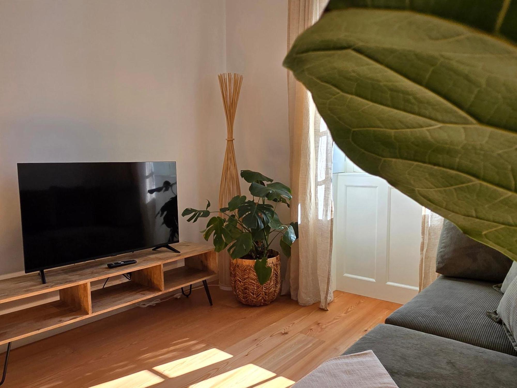 Ficus Apartment Ponta do Sol (Madeira)
