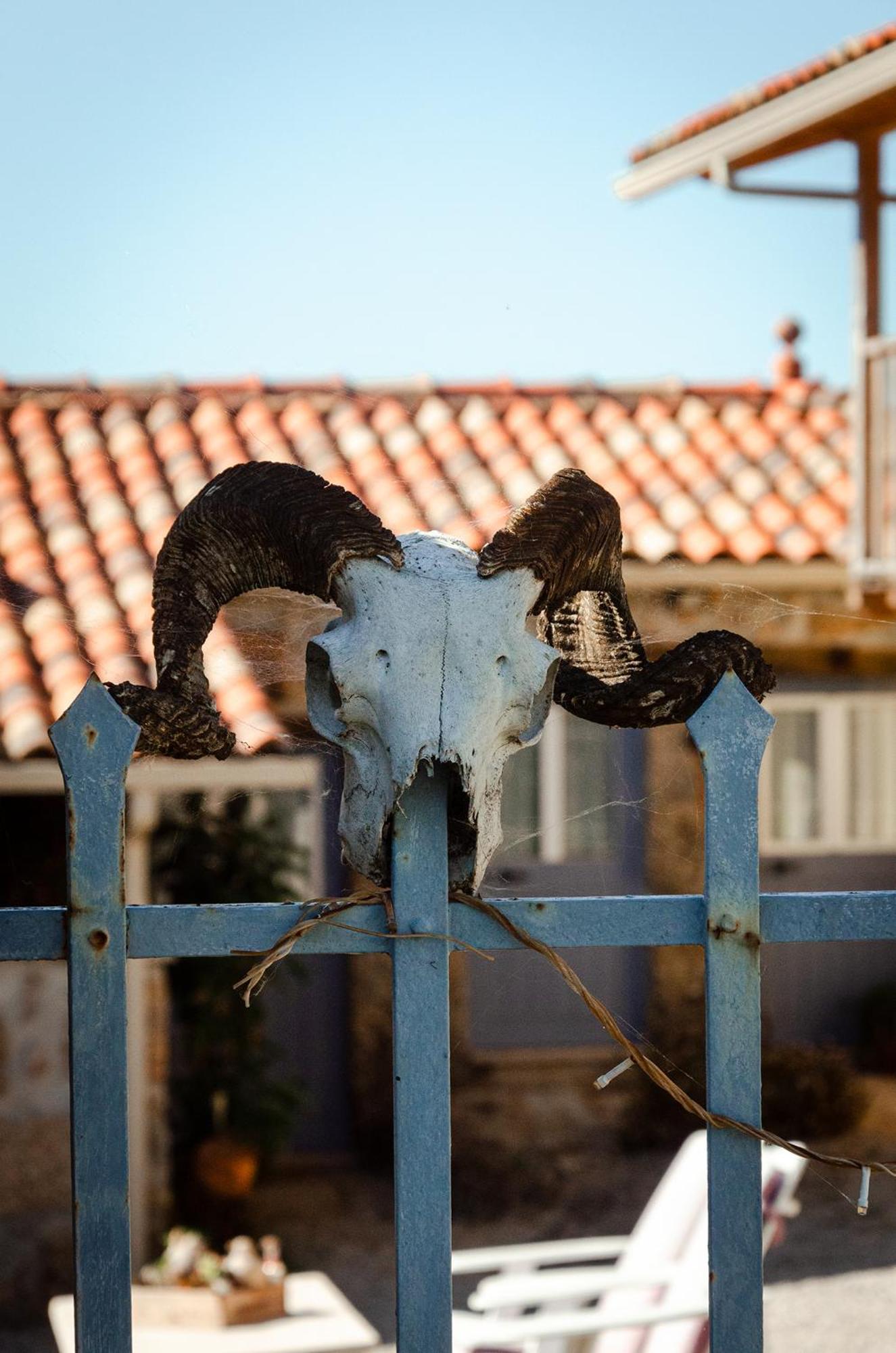 Quinta Dos Corgos Tabua (Coimbra)
