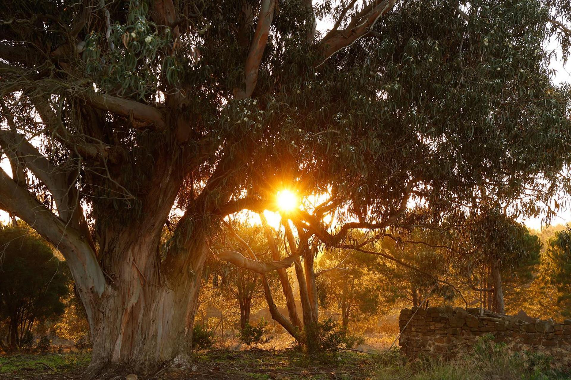 Hotel Do Canal Nature Retreat - Small Luxury Of The World Aljezur
