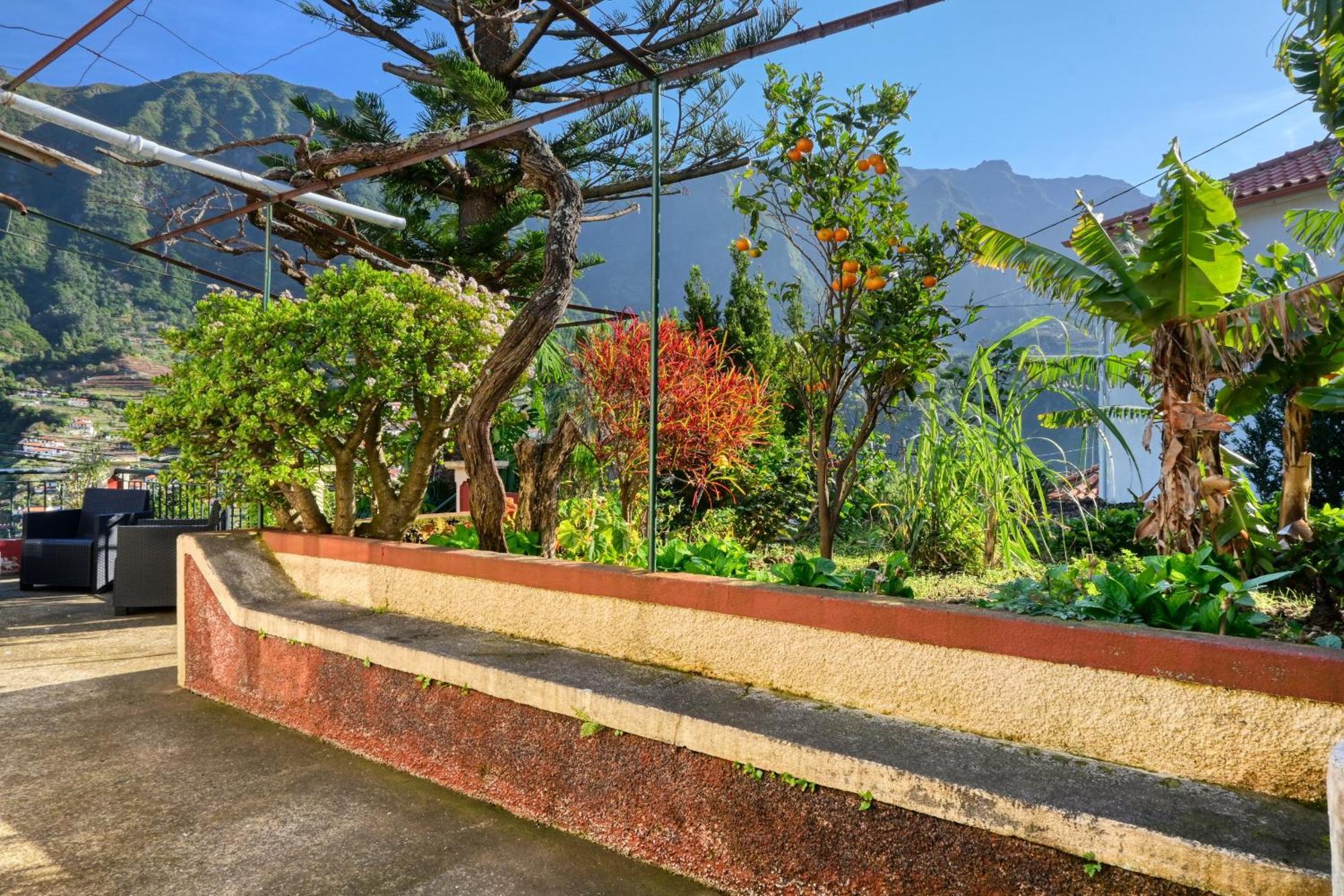 Casa Do Pinheiro I, A In Madeira *