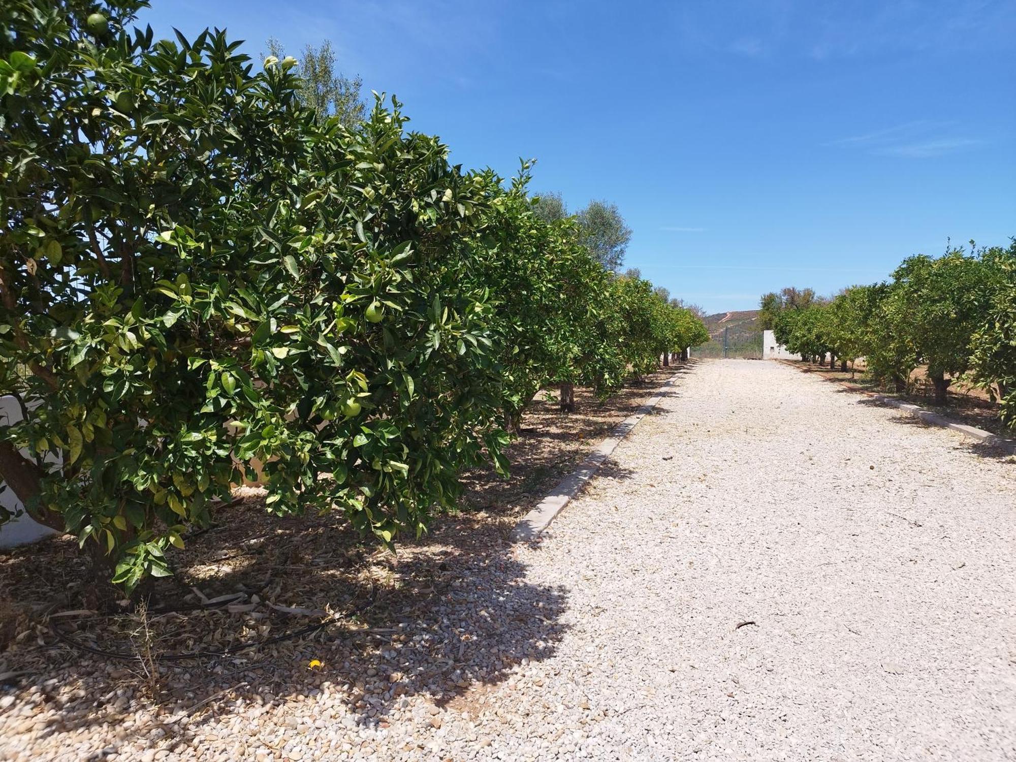 Entrecolinas Bed & Breakfast Paderne (Faro)