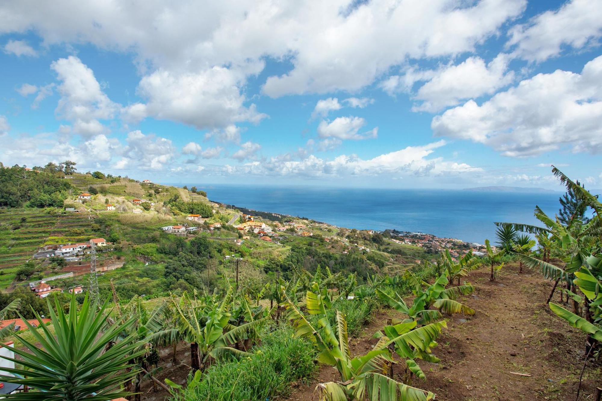 Private Canico (Madeira)