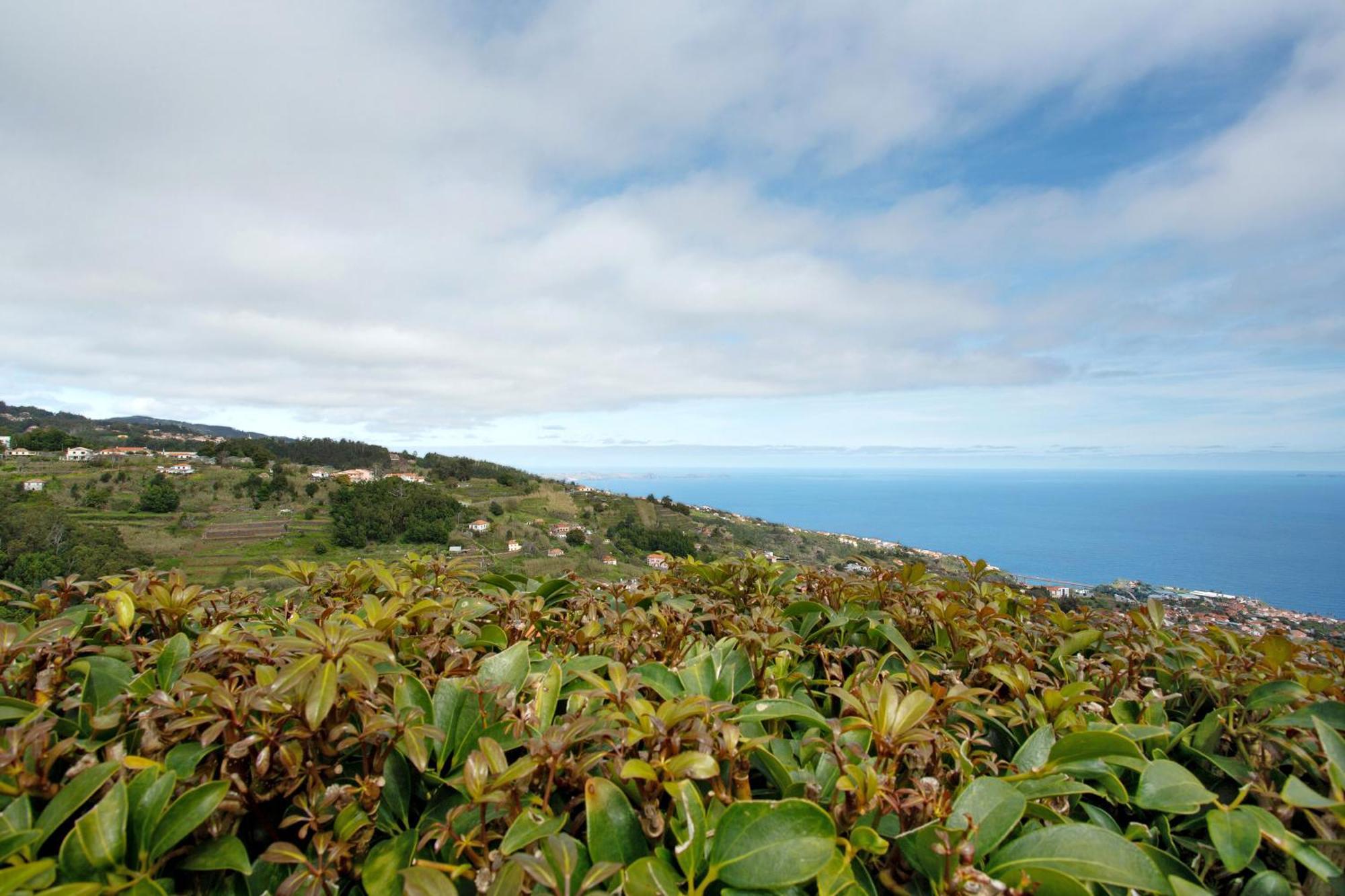 View Mountain *