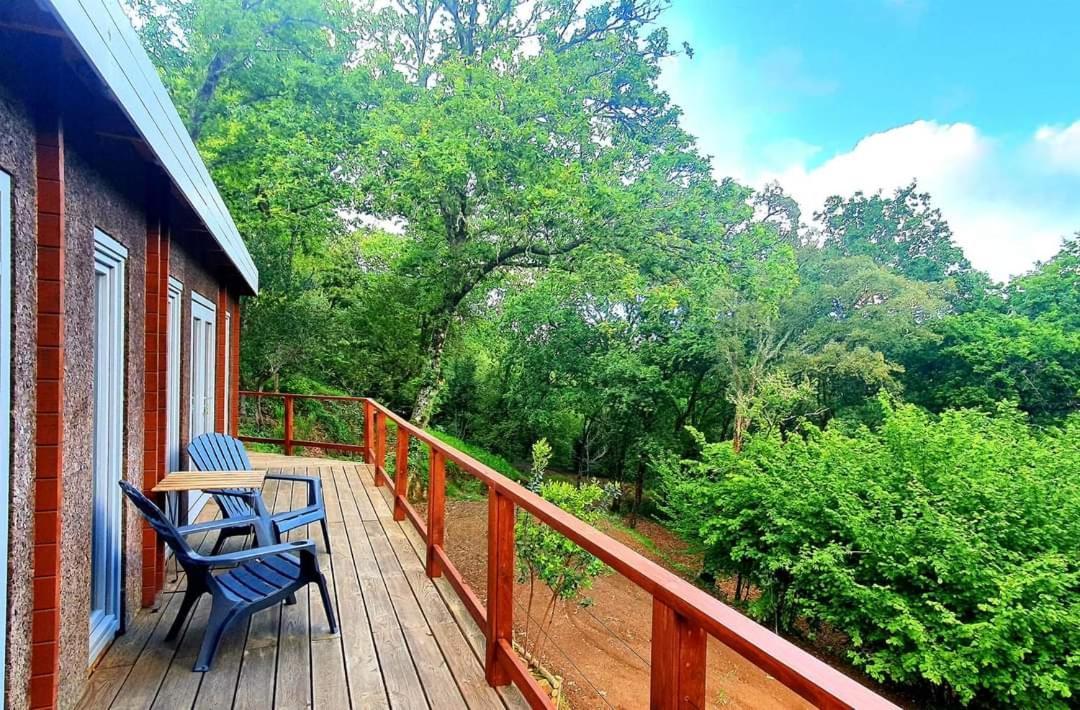 Quinta Mata Da Se Guest house *