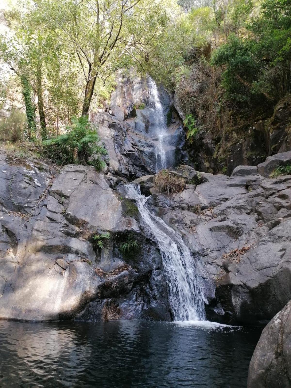 Quinta Mata Da Se *