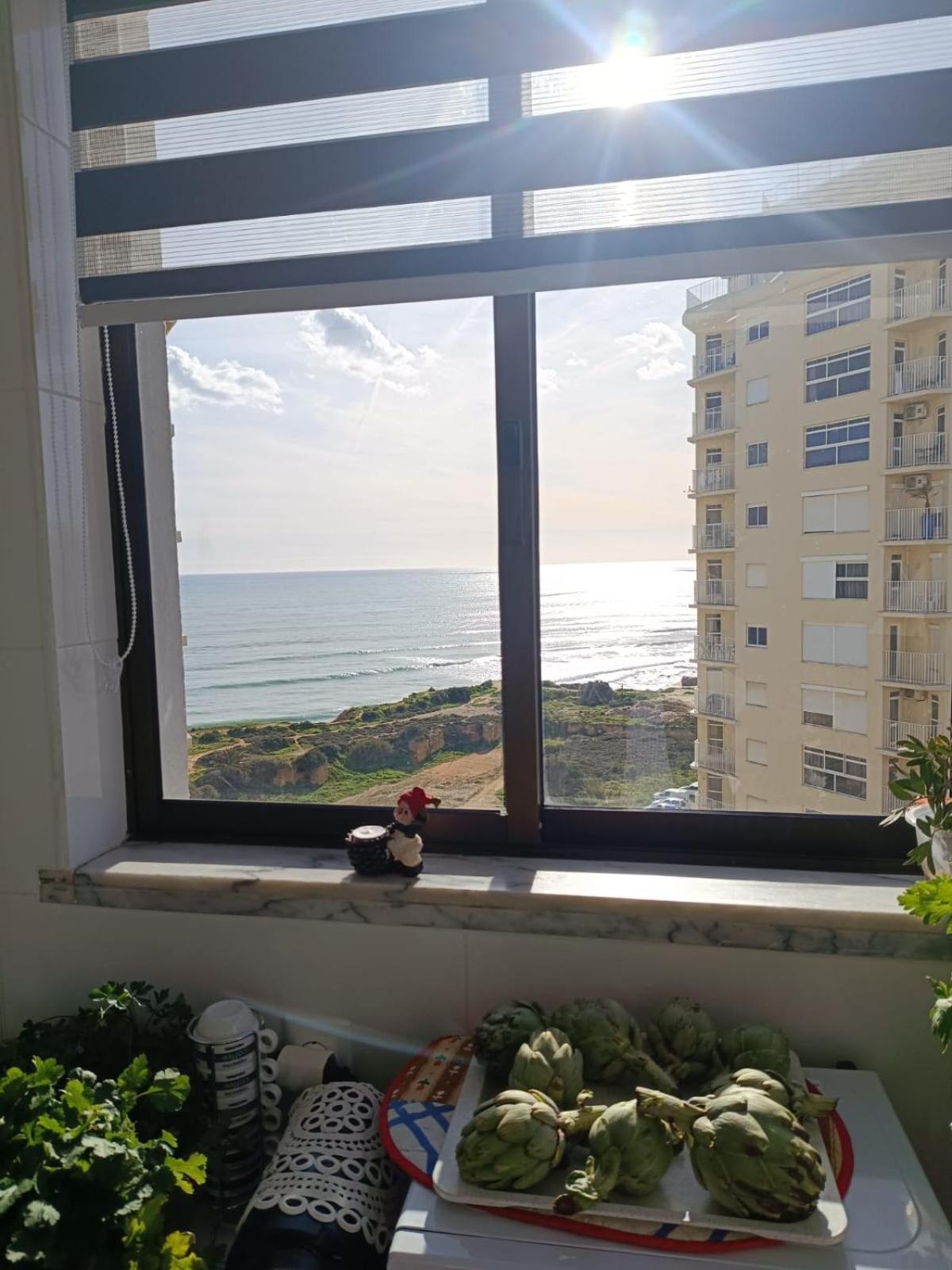Apartamento 9c Sao Gabriel - Casas & Papeis *
