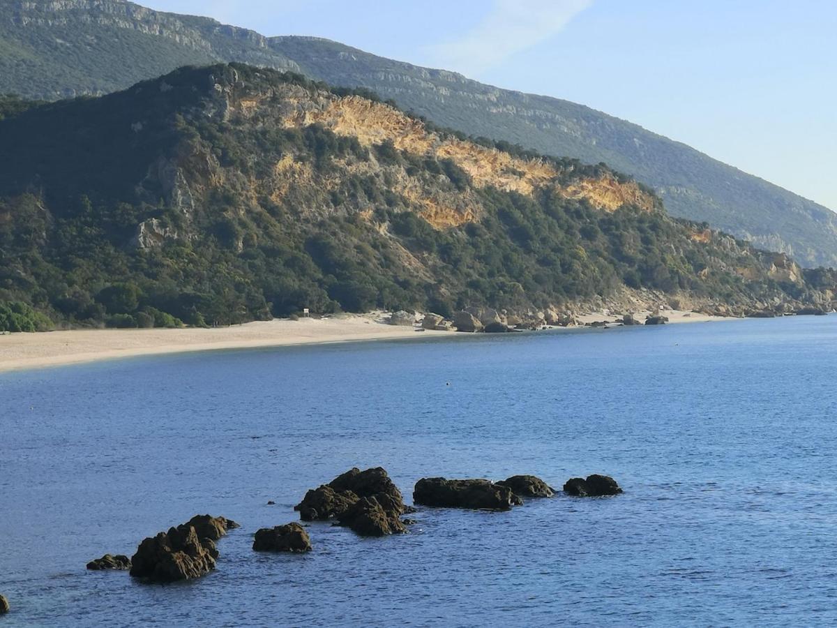 Apartment Oasis By Sun Sea Sesimbra