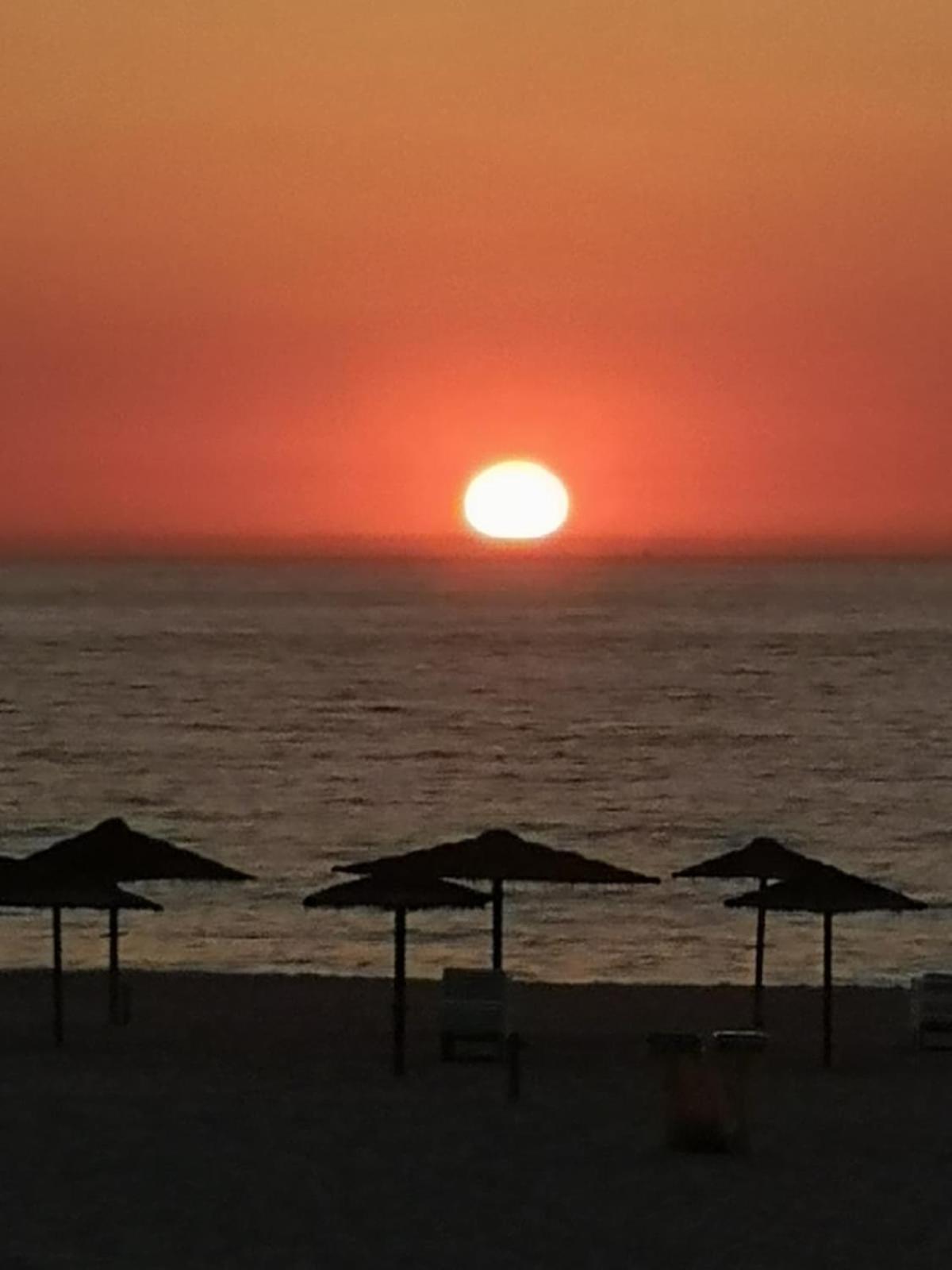 Oasis By Sun Sea *