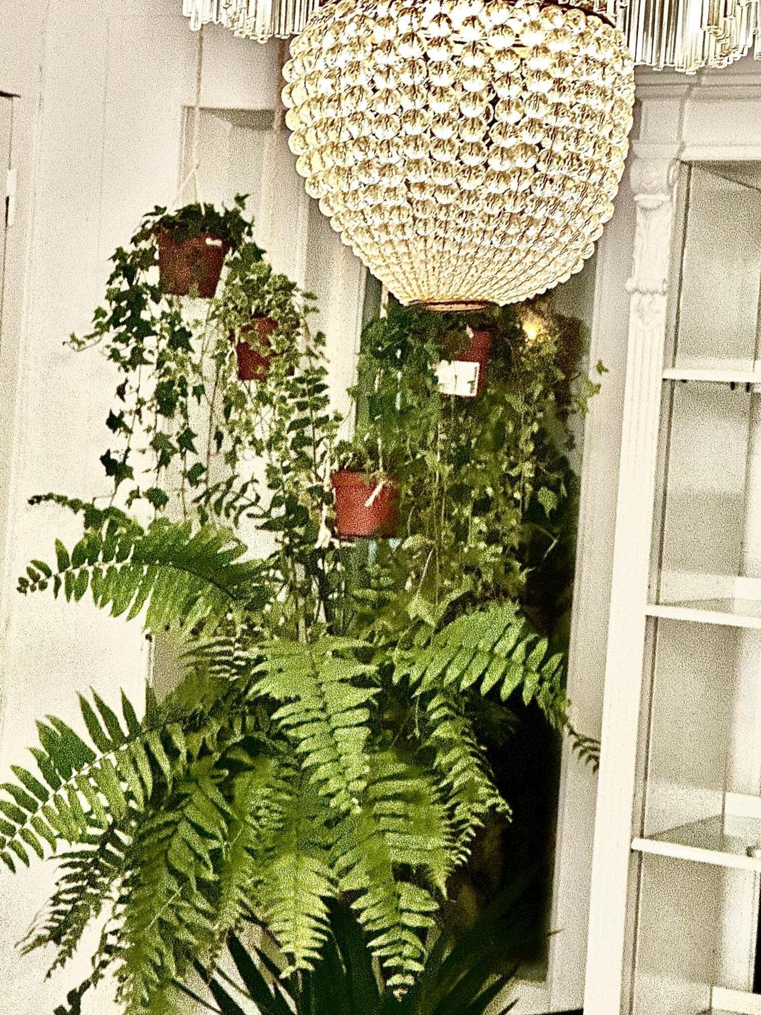 Country house Casal Santa Virginia *