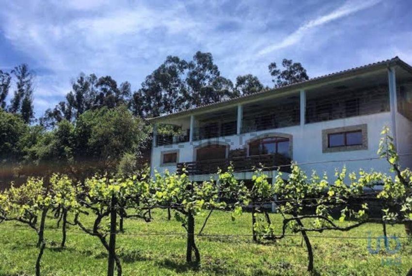 Quinta Da Quinta * Vieira do Minho