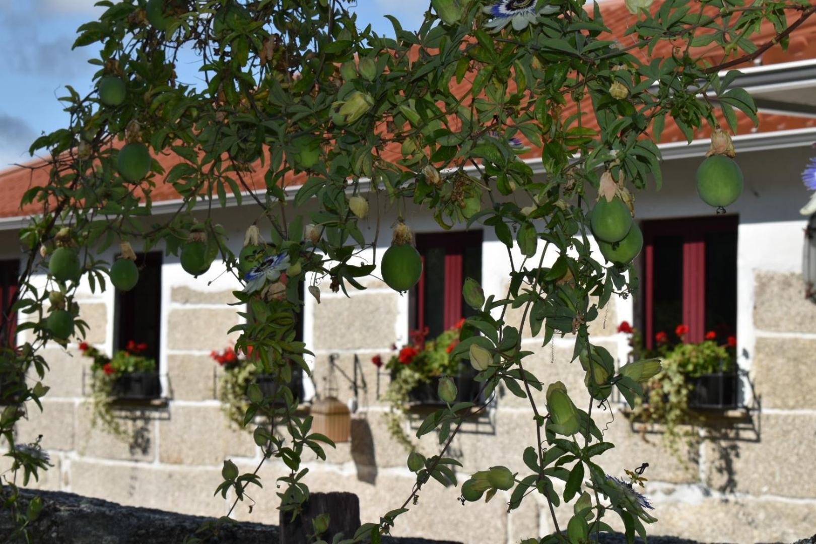 Quinta Da Quinta