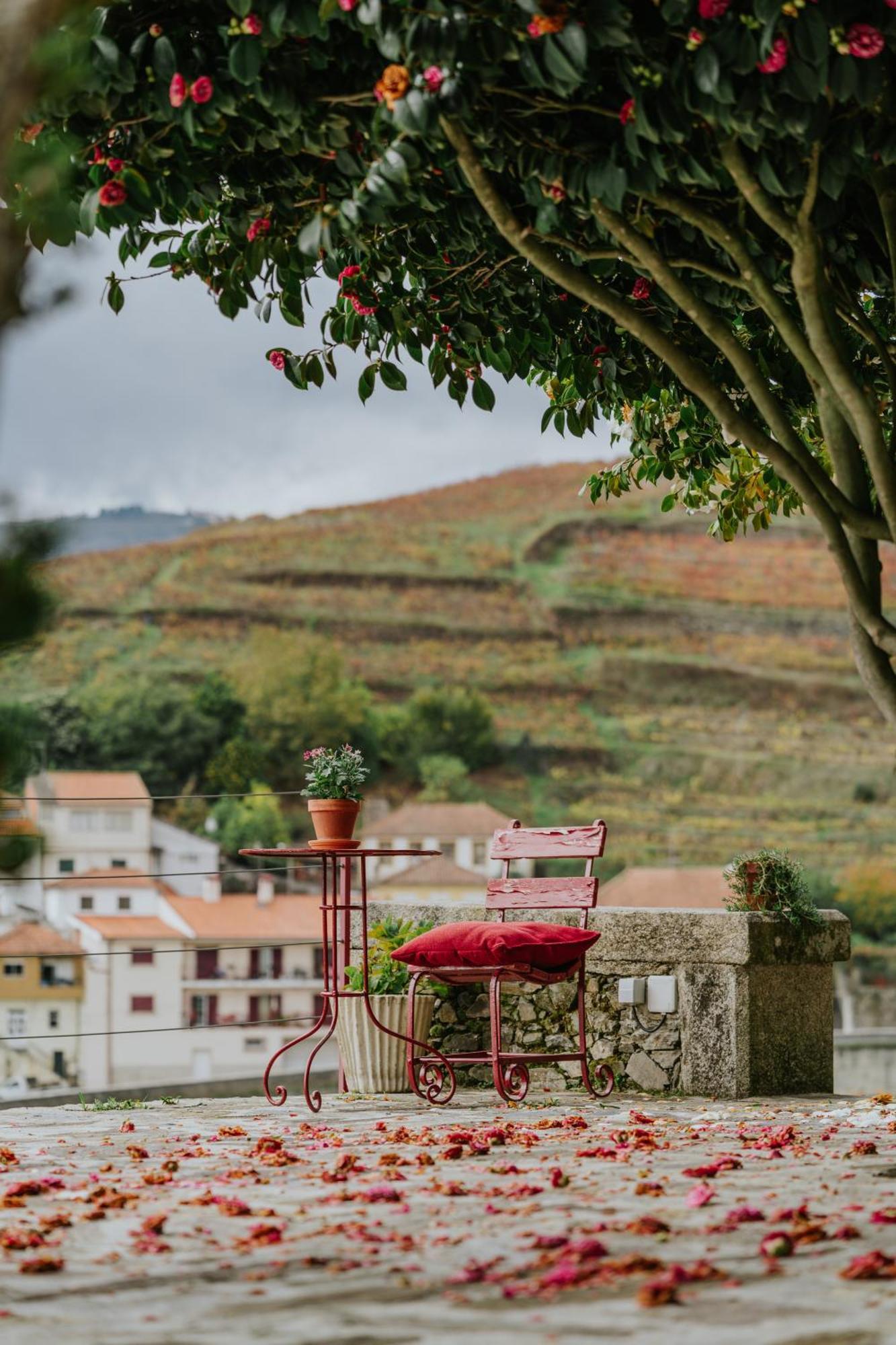 Casa Do Salgueiral Farm stay *
