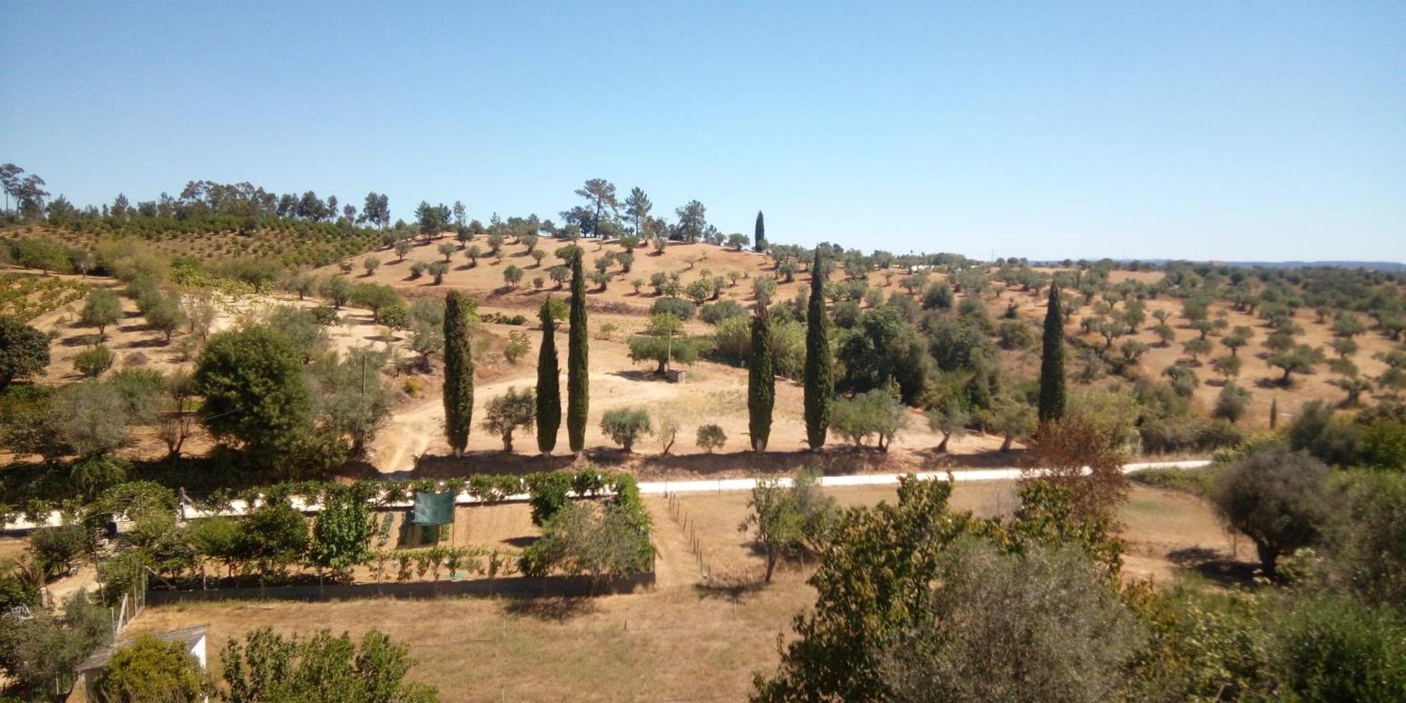 Al Recanto Do Sol Bed & Breakfast