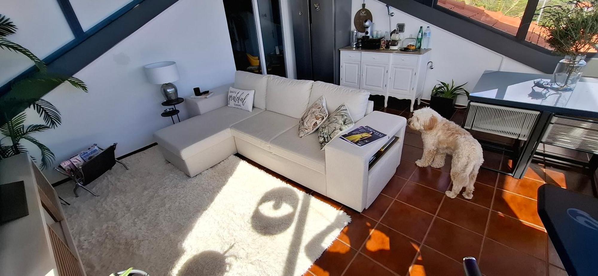 Apartment Sally's Loft - Penthouse - Honeymoon *