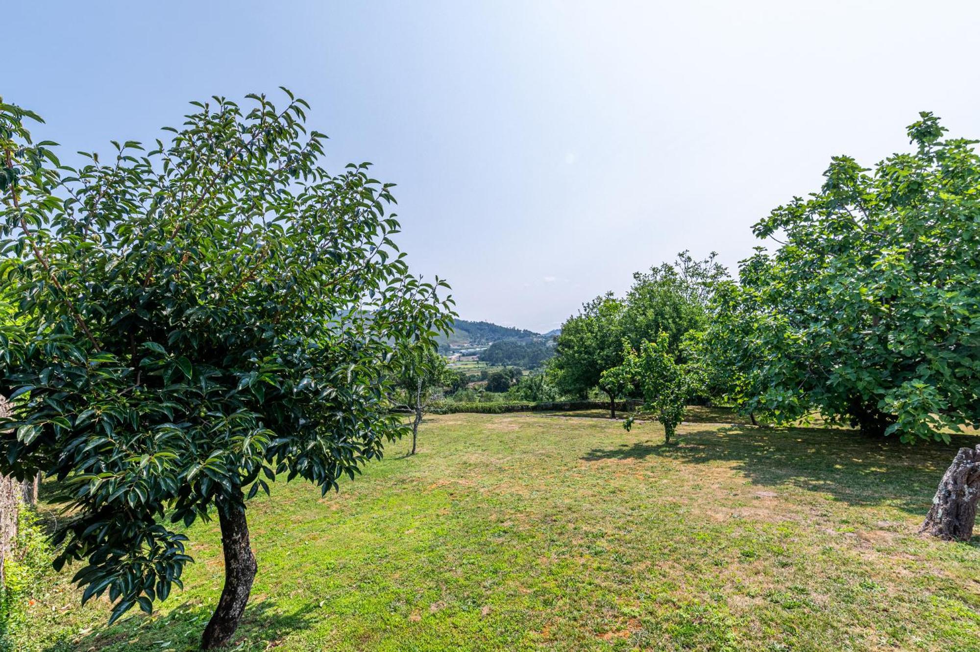 Country house Quinta De Malta Durraes
