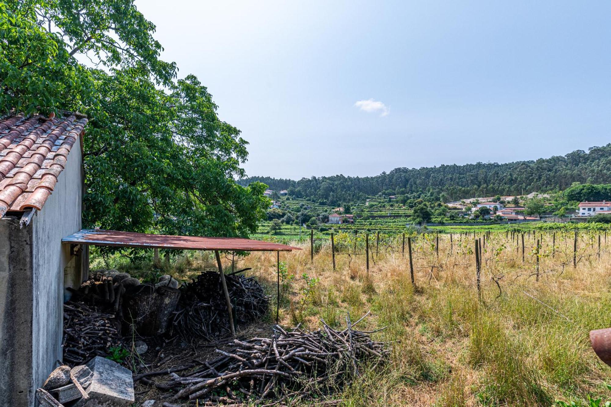 Quinta De Malta