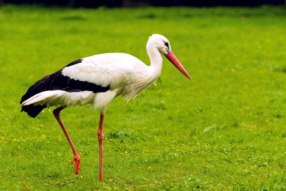 Quinta Vale Da Prata Celorico Da Beira