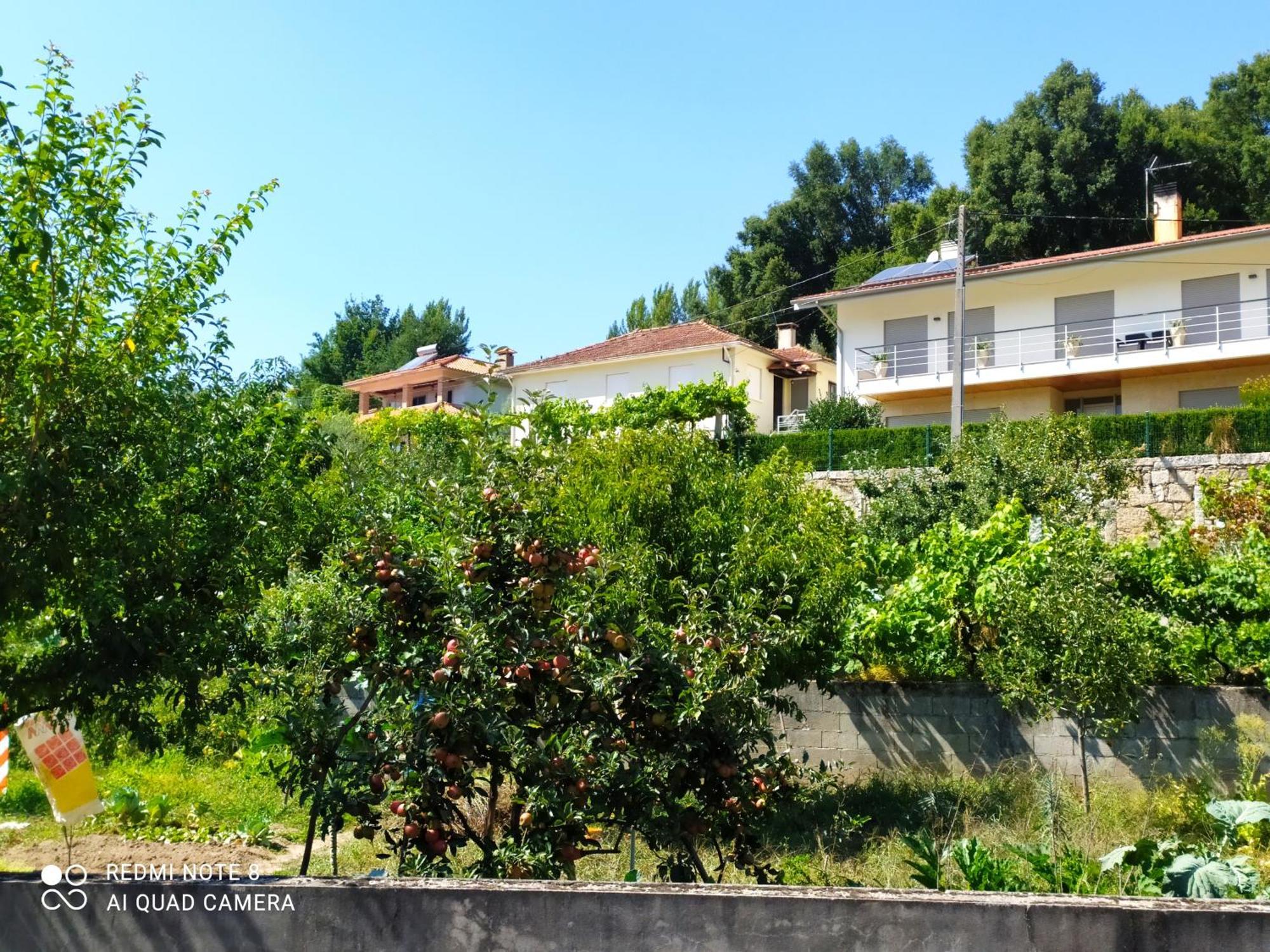 Bellavista Arouca