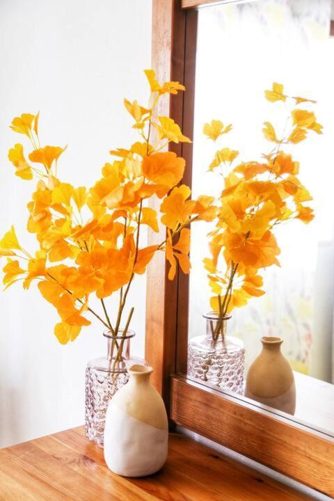 House Haller Apartment *