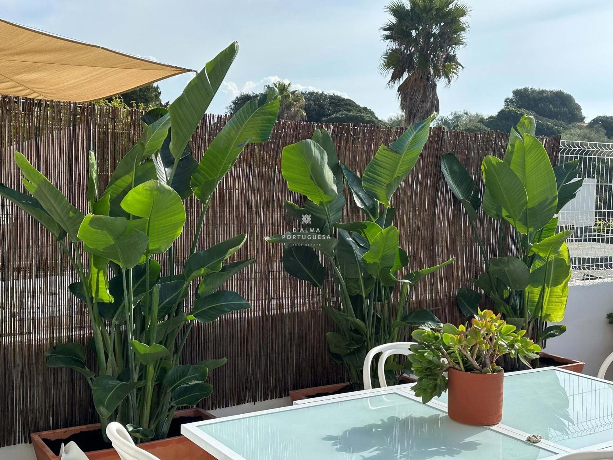 Apartamento Mare Aveiros Albufeira