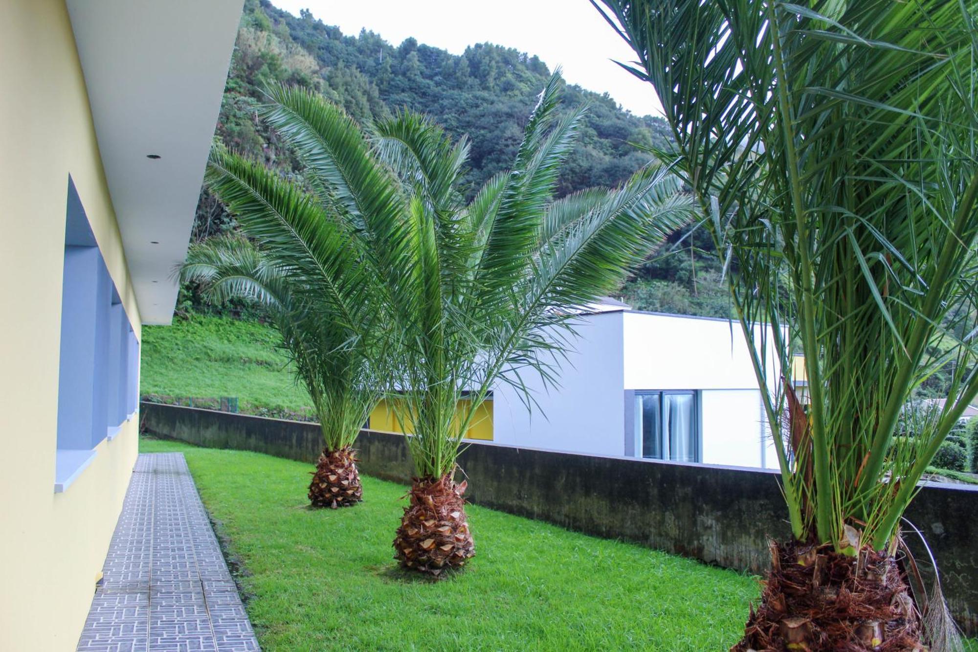 Waterfall House Holiday home *