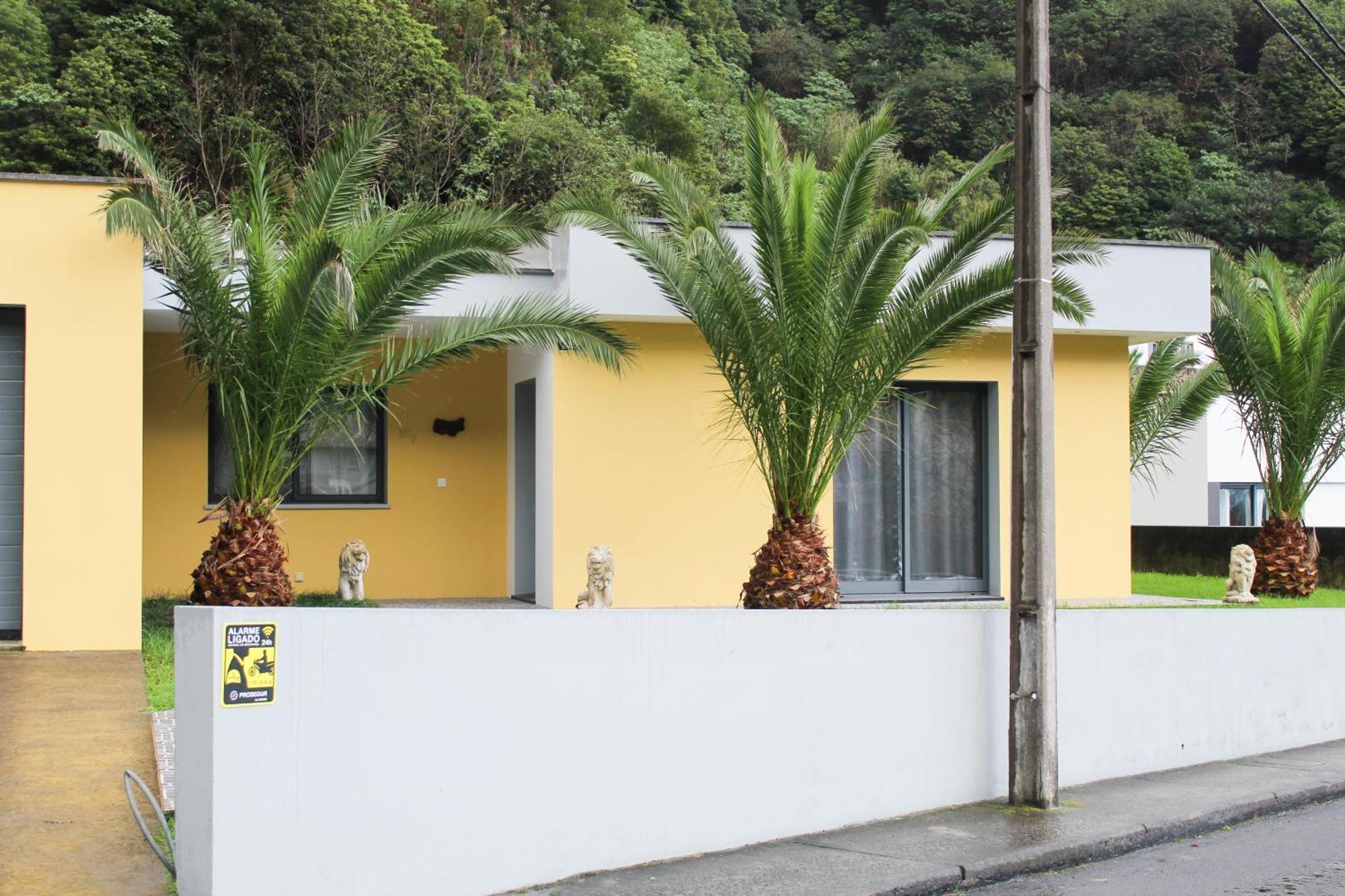 Waterfall House Holiday home Faial da Terra