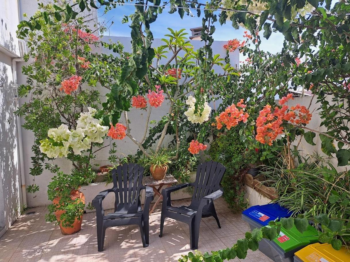 Friends'house - Azores Holiday home *