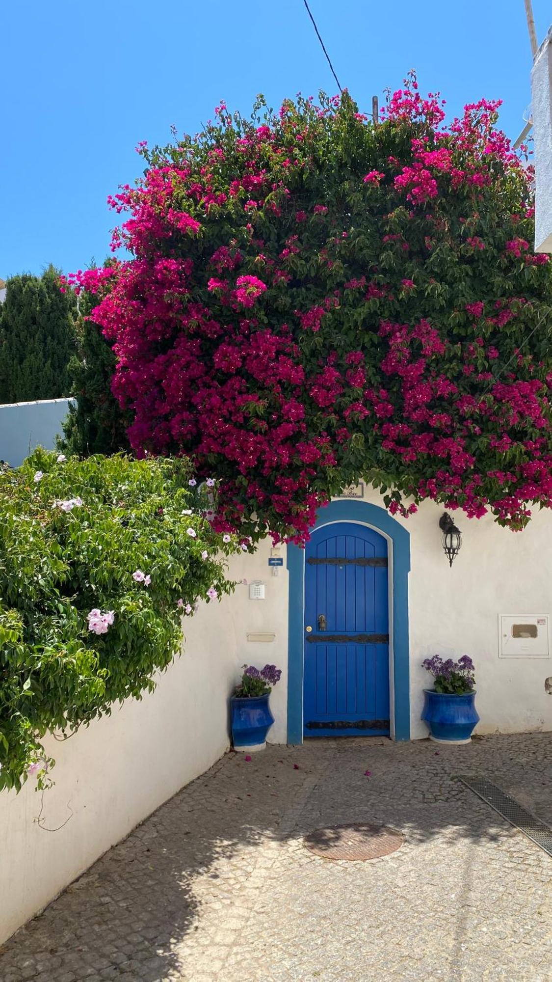 Guest house Casa Lua