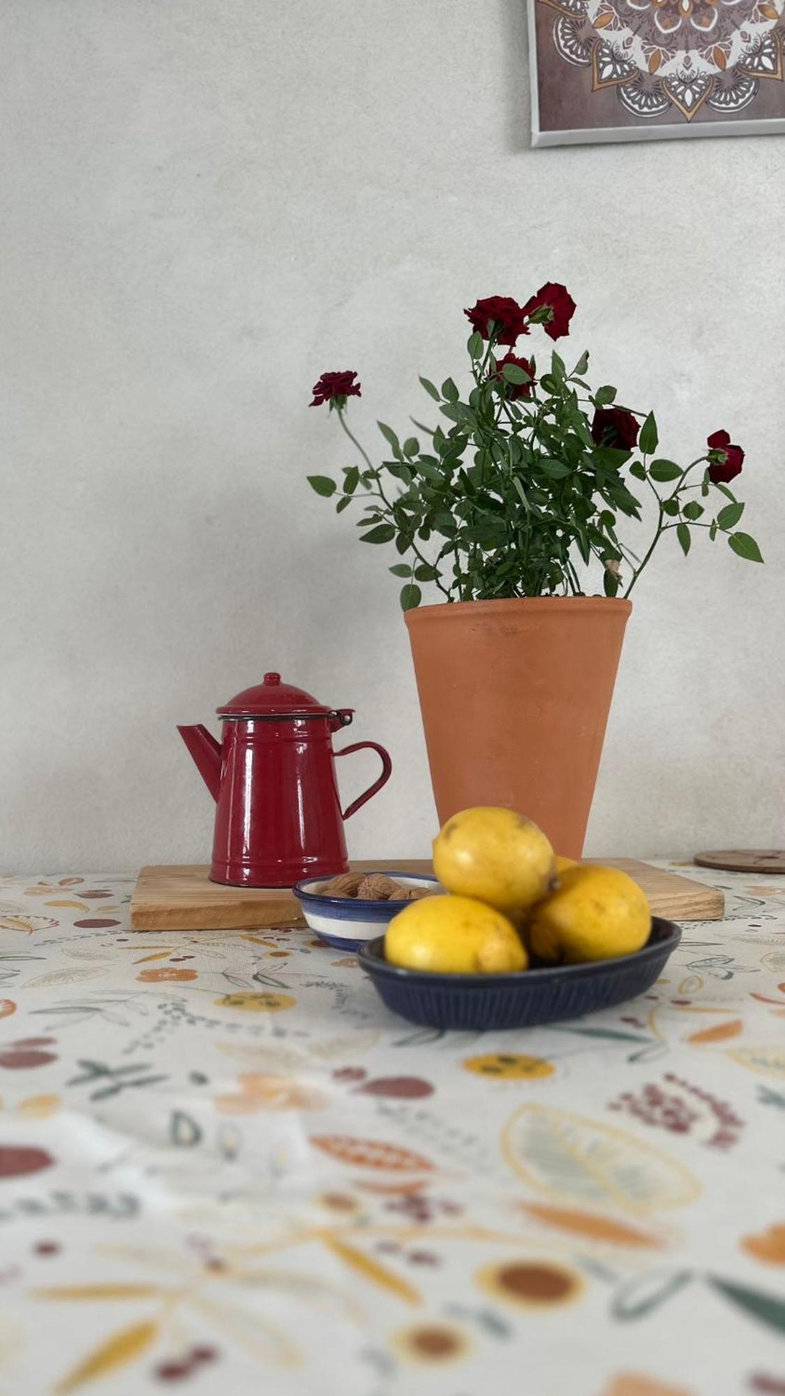 Bed & Breakfast Casa Trilho The Gaios