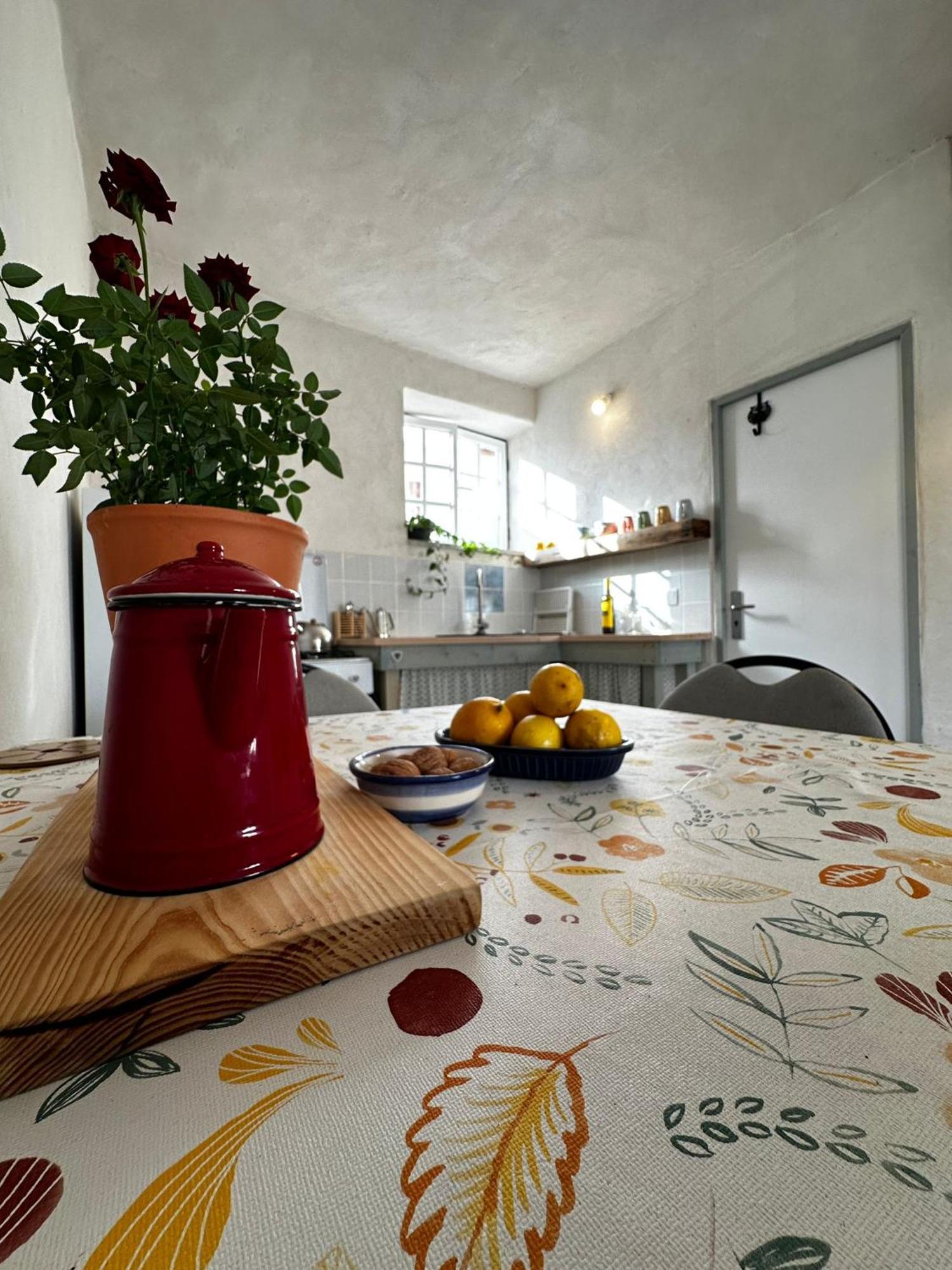 Casa Trilho The Gaios Bed & Breakfast Tábua