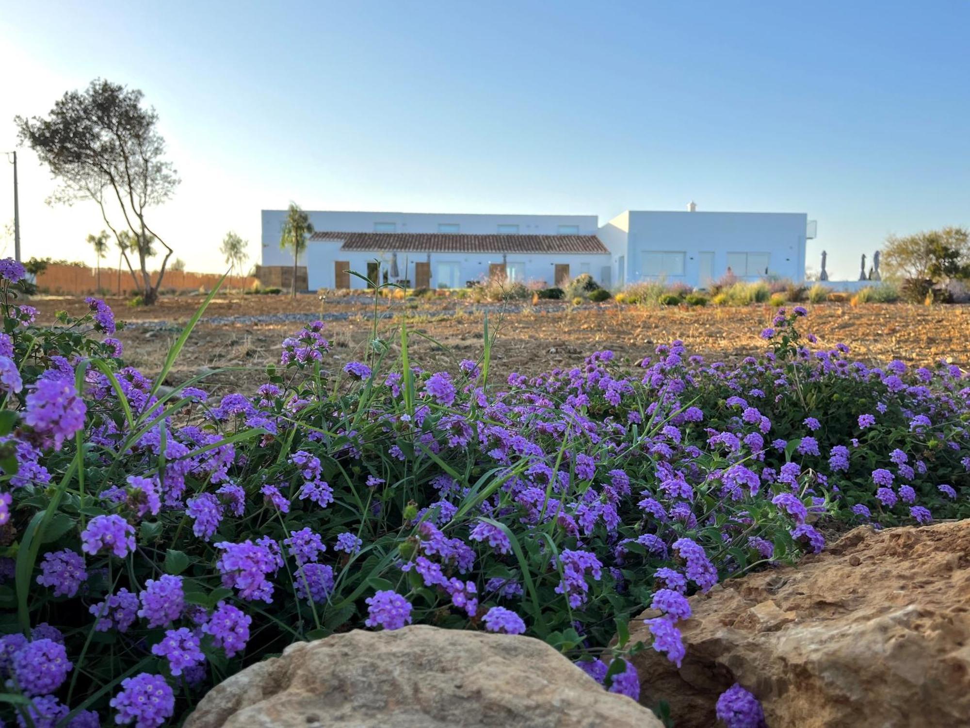 Farm stay Lobos A Sua Casa No Campo Tavira