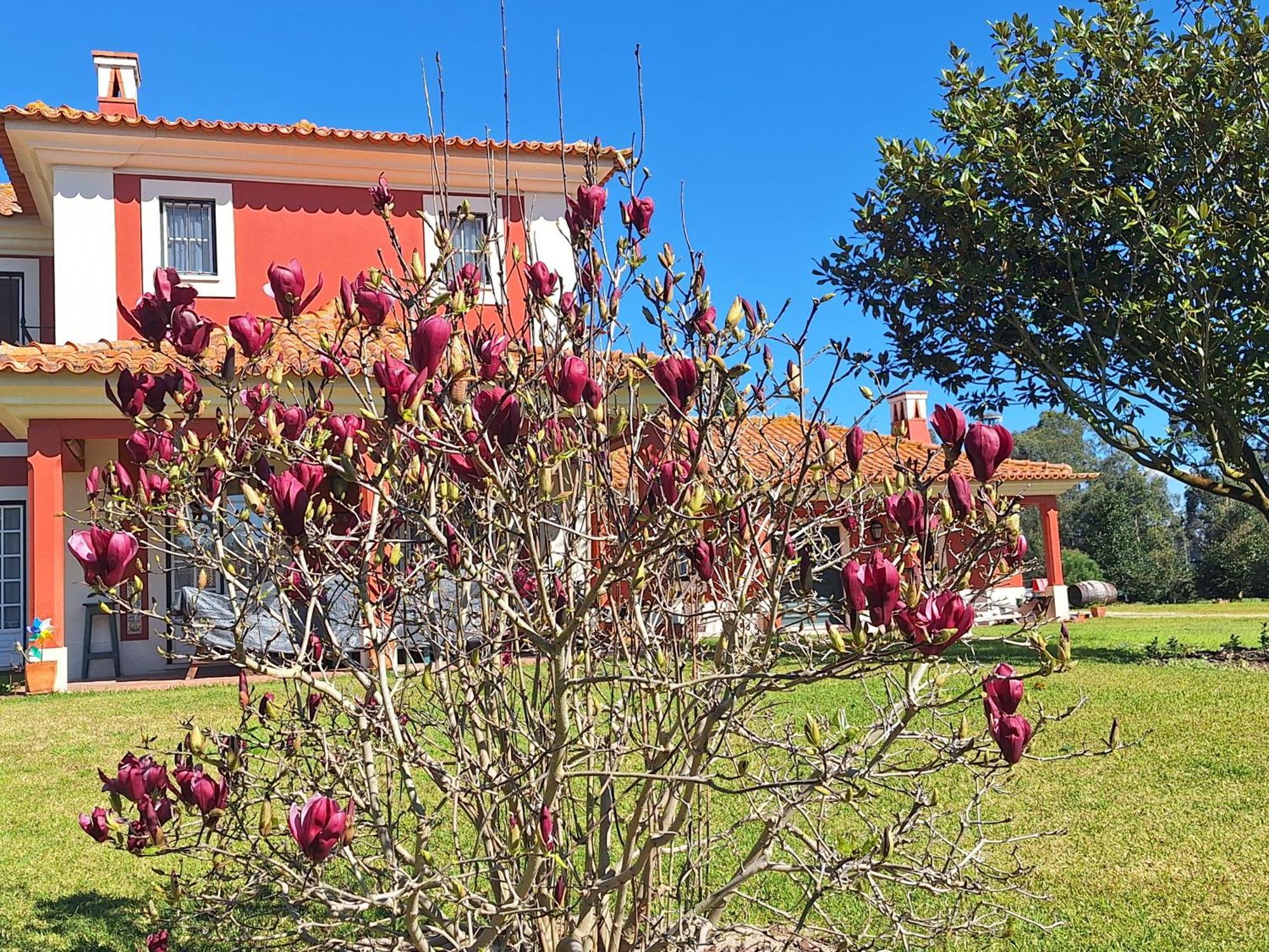 Country house Casa Da Ria - *