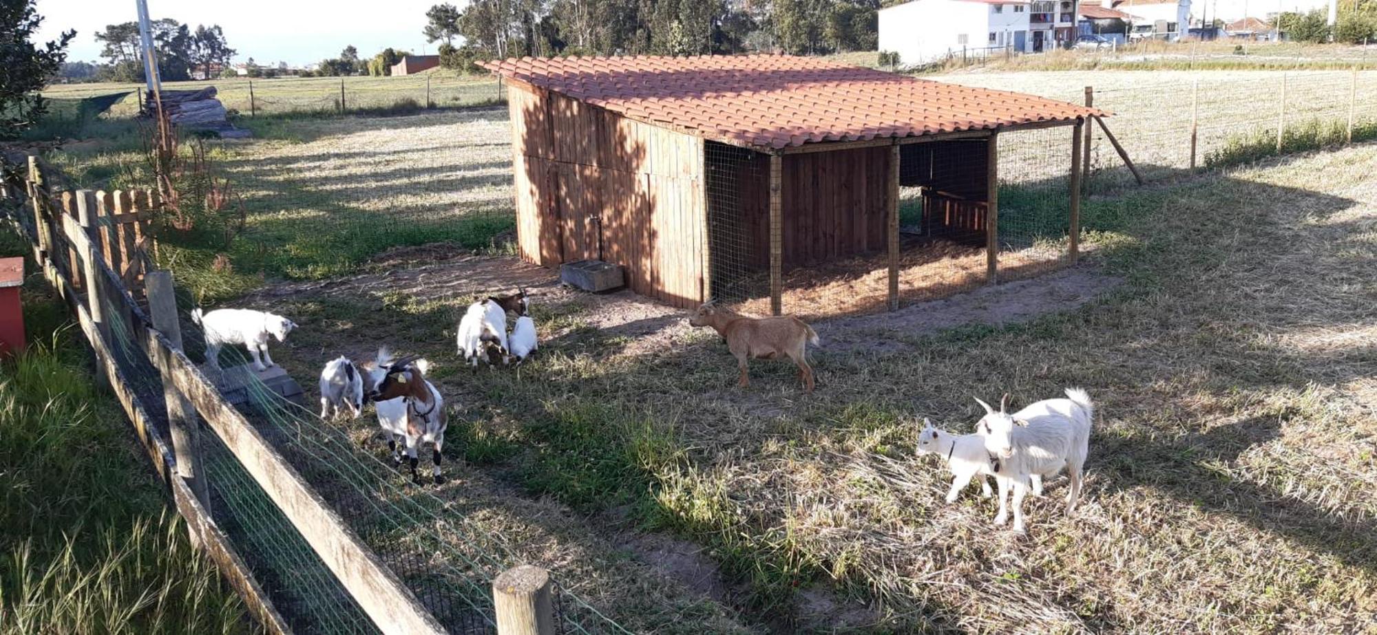 Casa Da Ria - Country house *