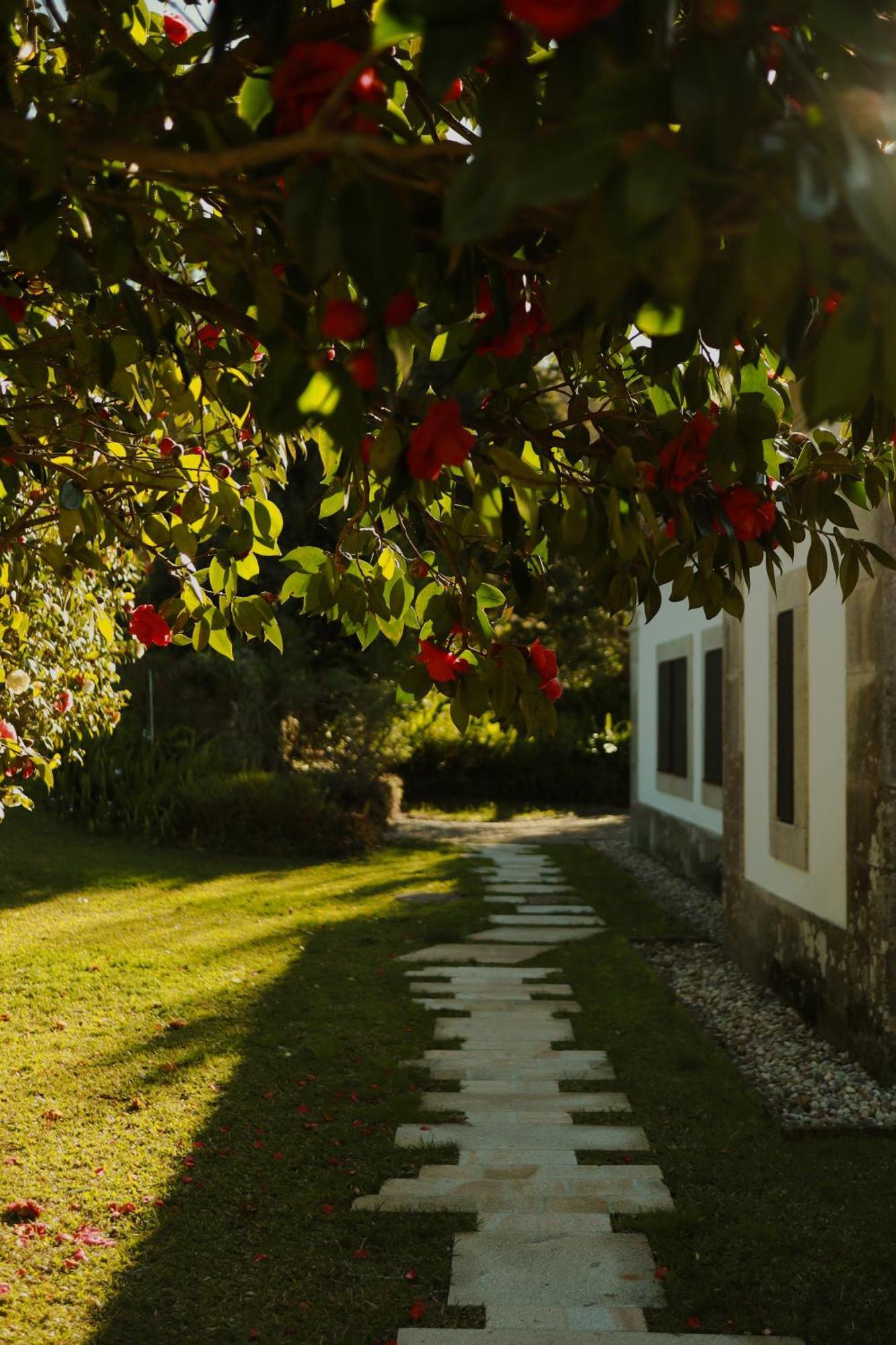 Vinte-quinta Da Boavista Holiday home