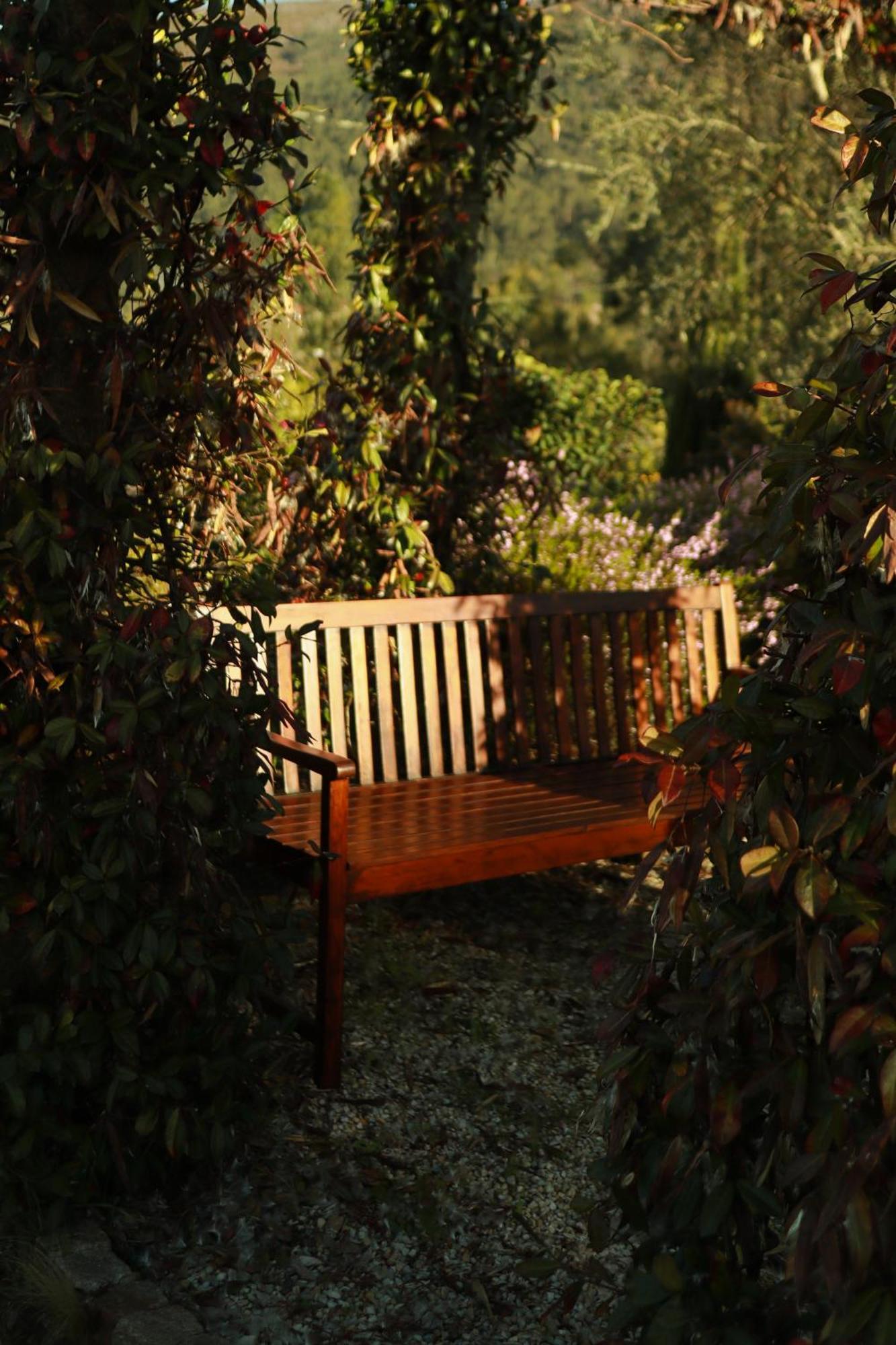Vinte-quinta Da Boavista Holiday home Ponte de Lima