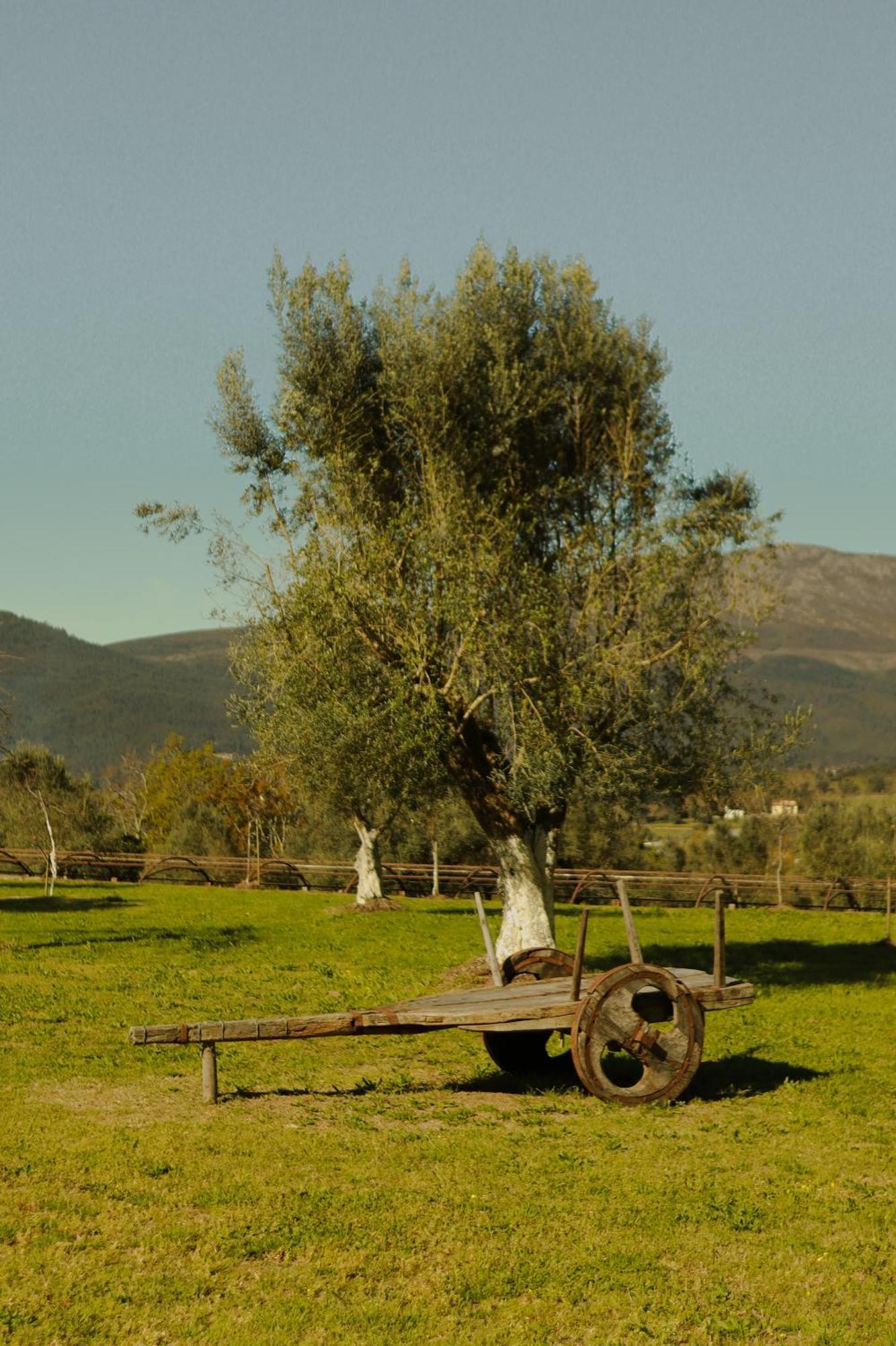 Vinte-quinta Da Boavista *