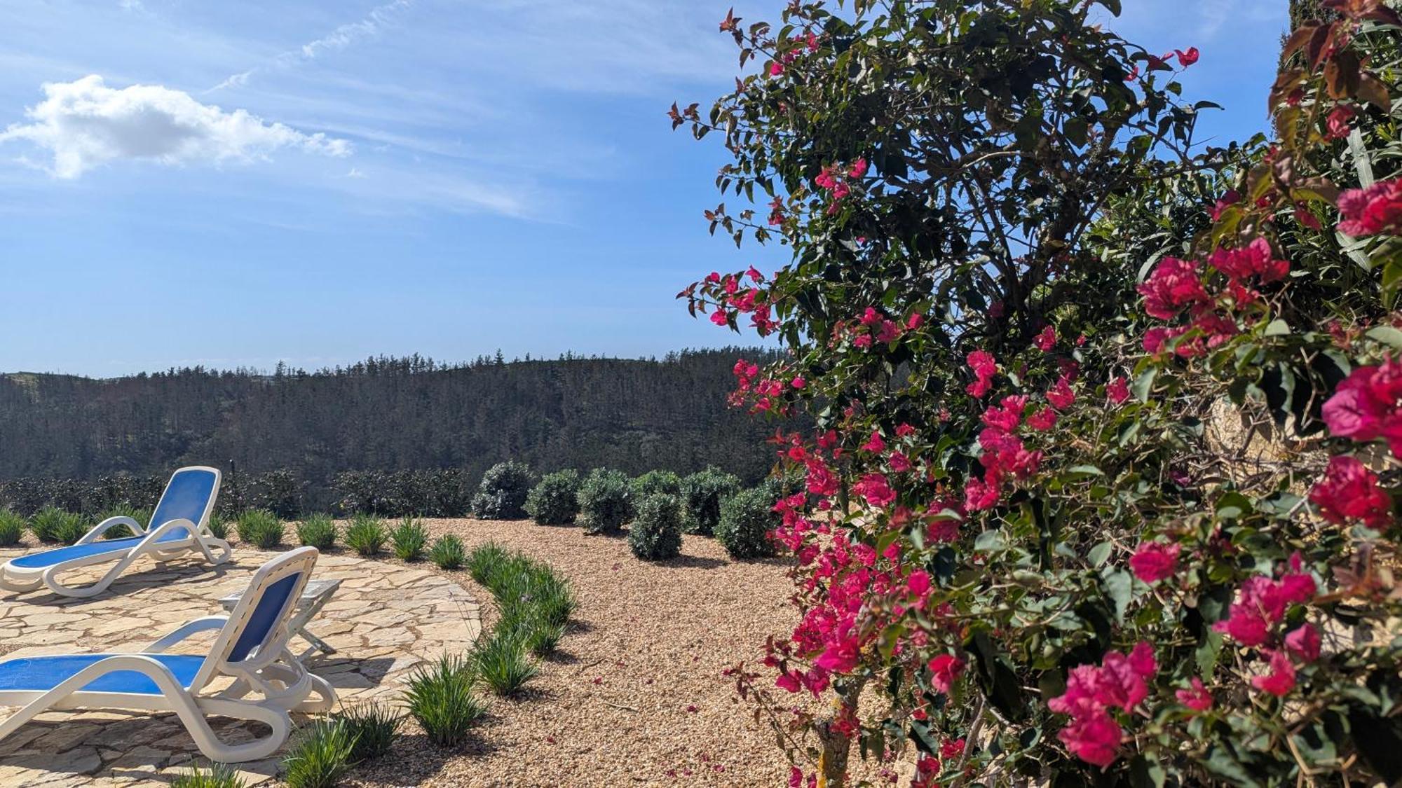 Stunning With Pool & View Near Budens