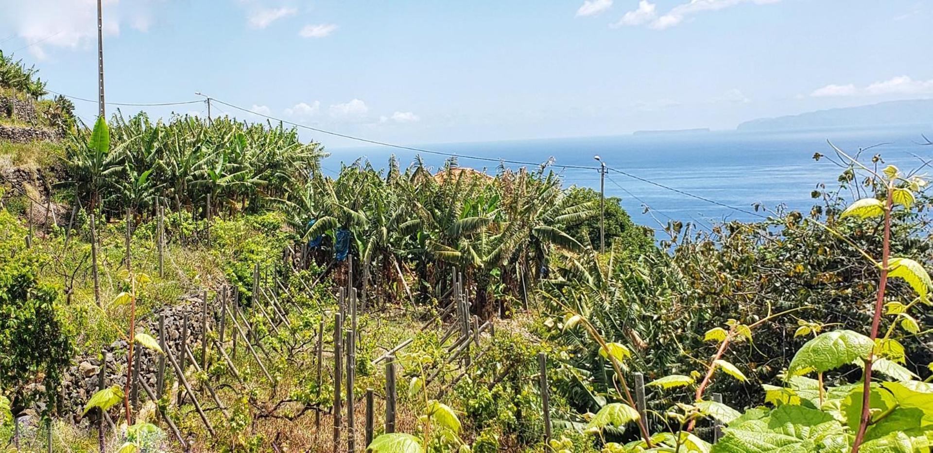 Apartment Guestready - Paradise In *