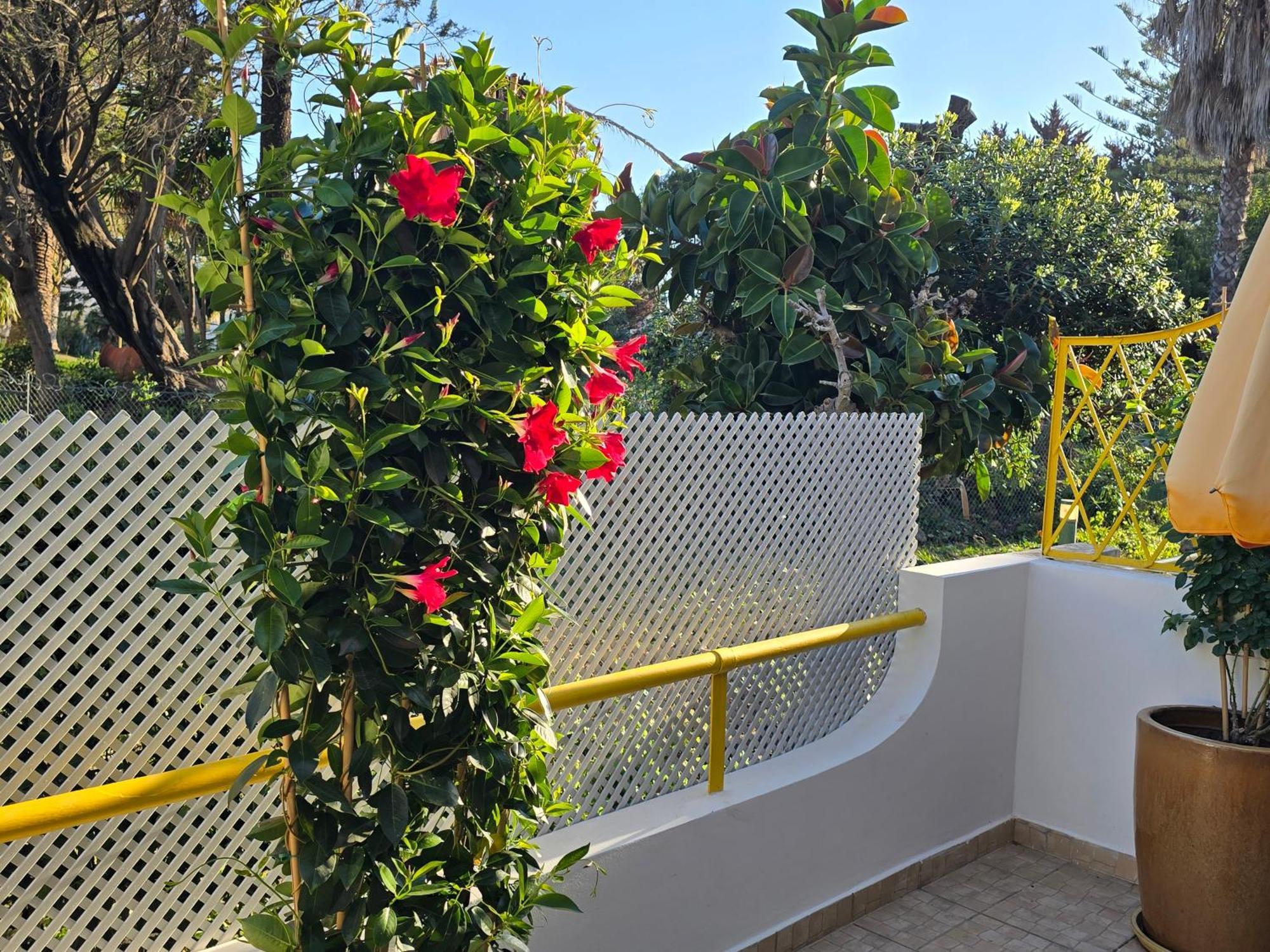 Apartamento Victoria *