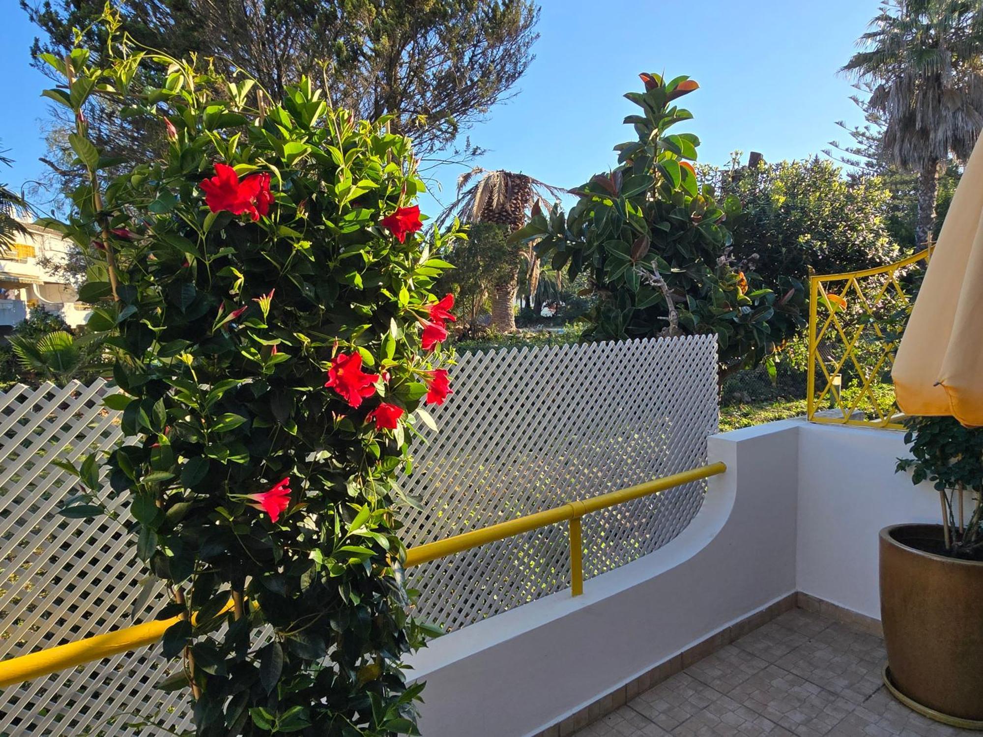 Apartamento Victoria