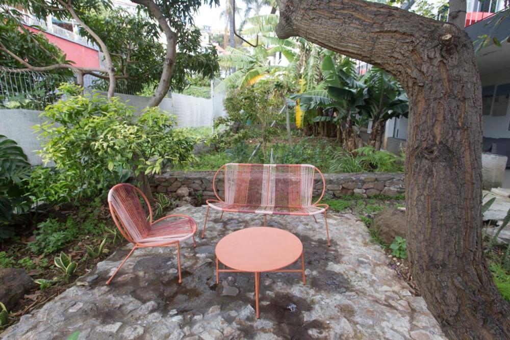 Rochinha Cozy * Funchal (Madeira)