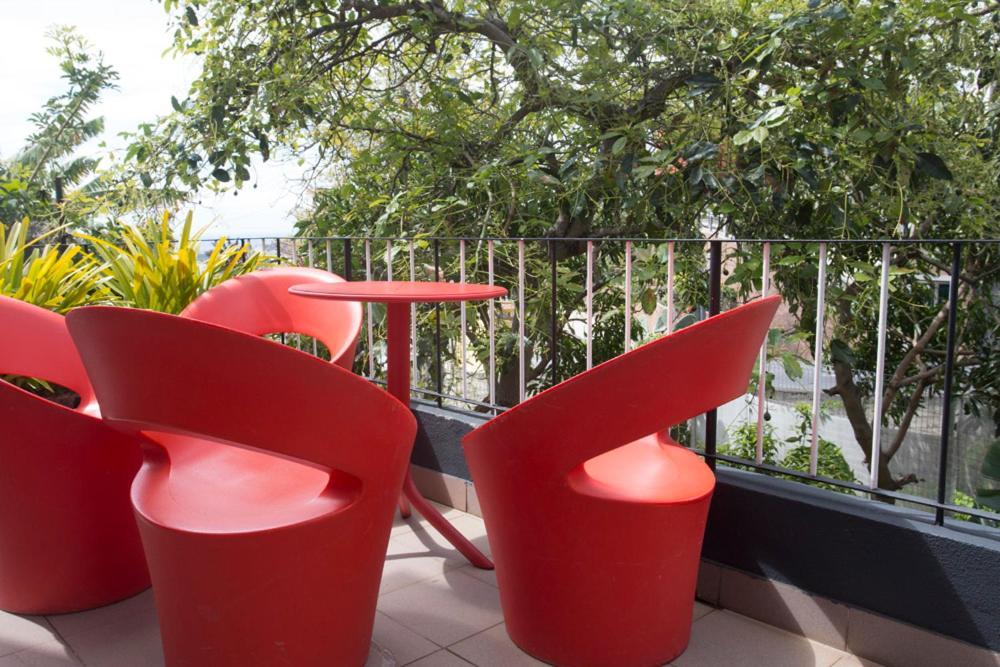 Guest house Rochinha Cozy