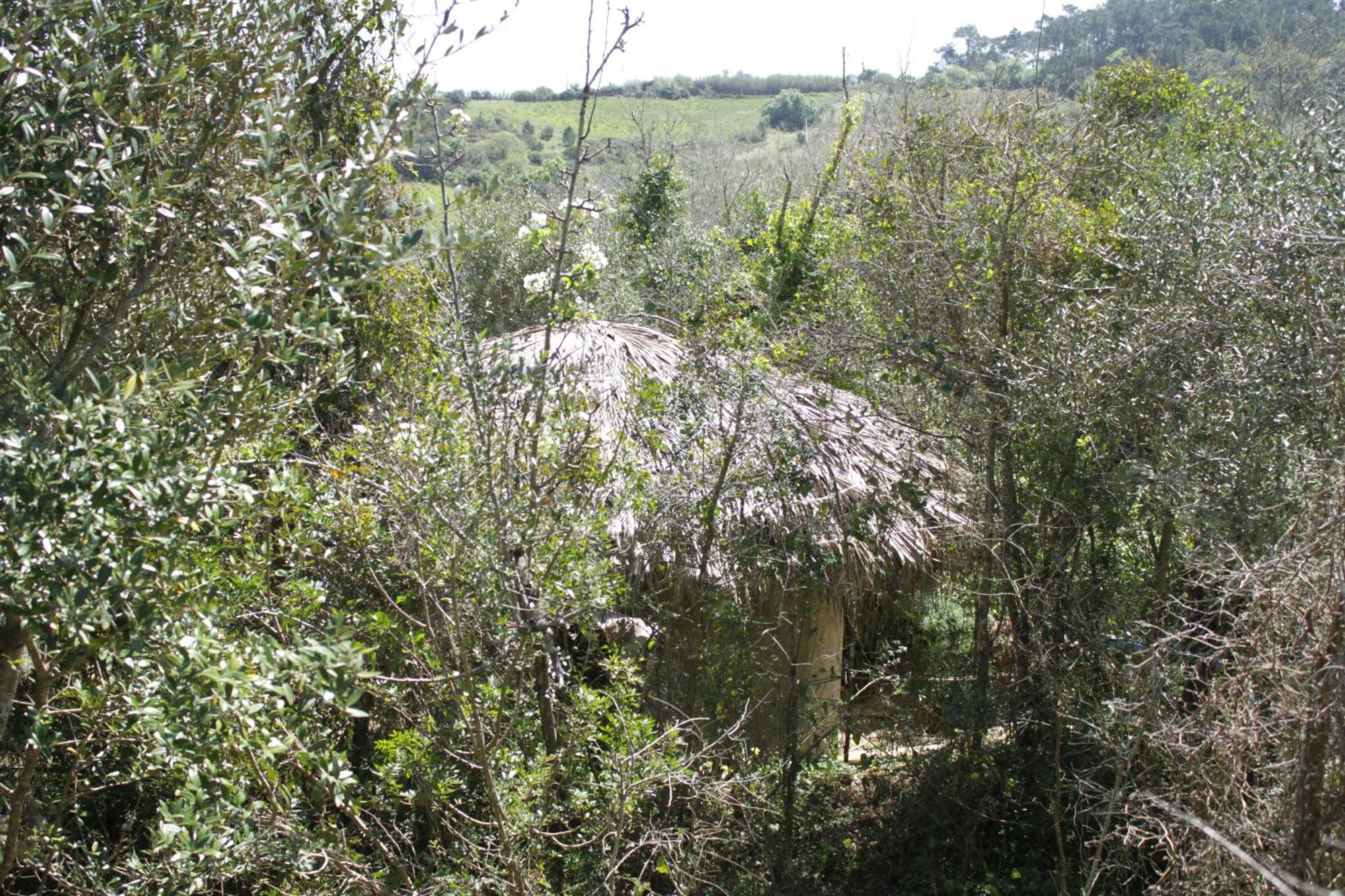 Campsite Hidden Forest Retreat