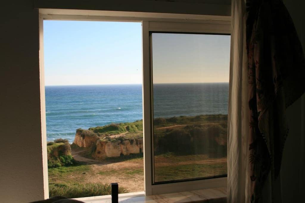 Casa Dos Peixes E Mar Apartment
