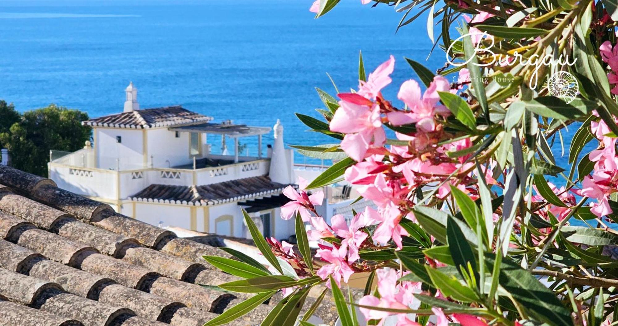 Charming House Loft Burgau