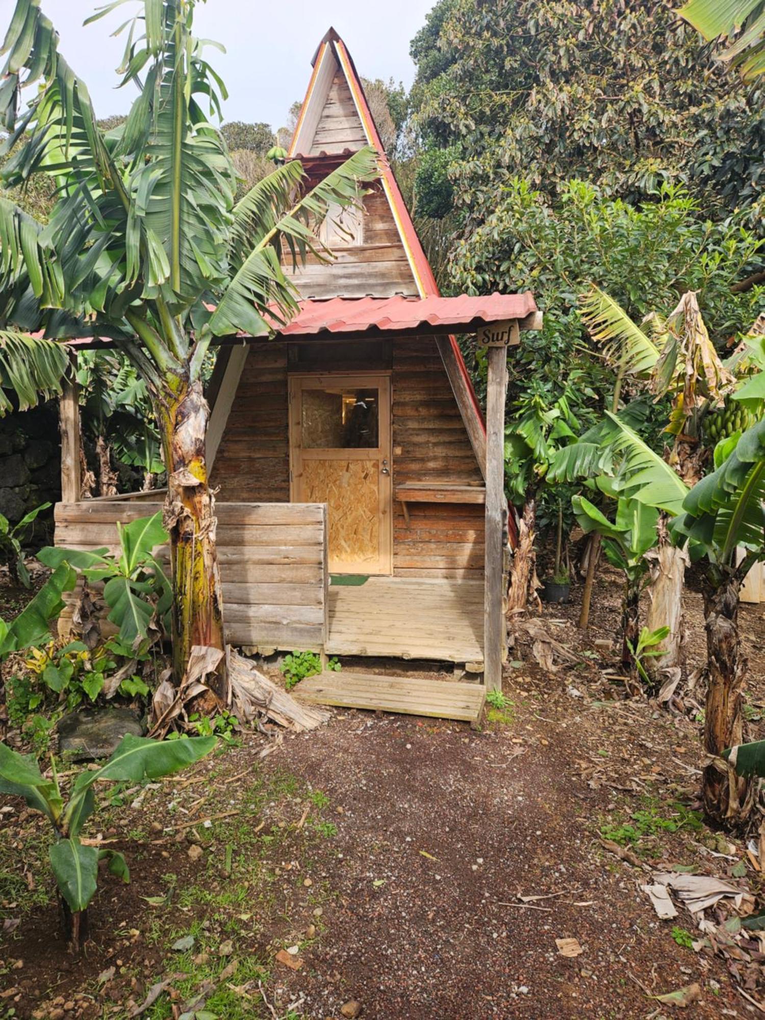 Banana Eco Camp Angra do Heroismo