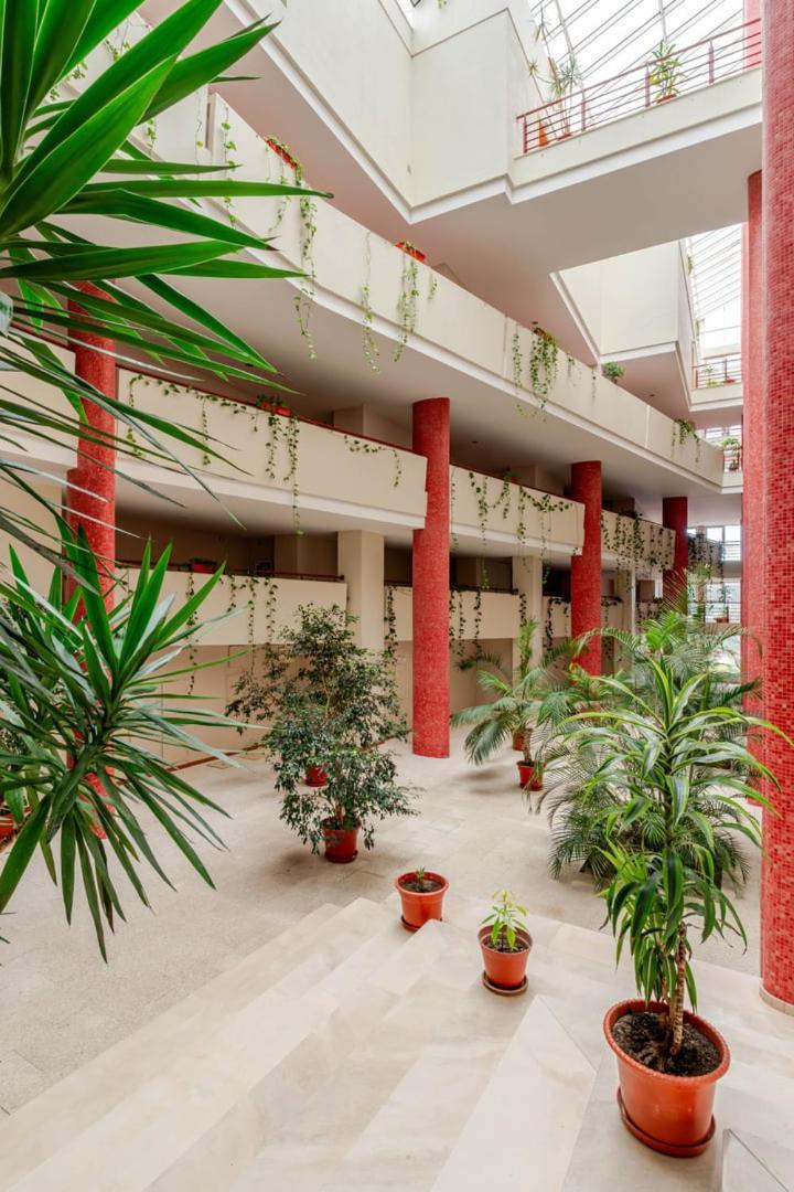 Apartment Ocean Bliss - & Bbq Viana do Castelo