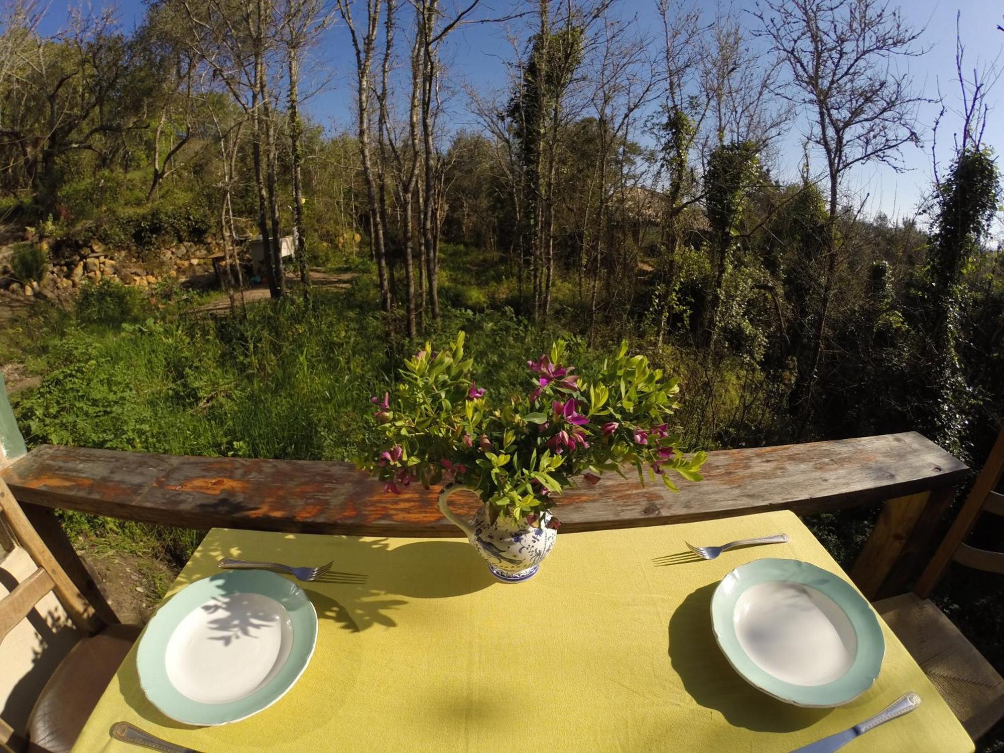 Hidden Forest Retreat Campsite Carvoeira