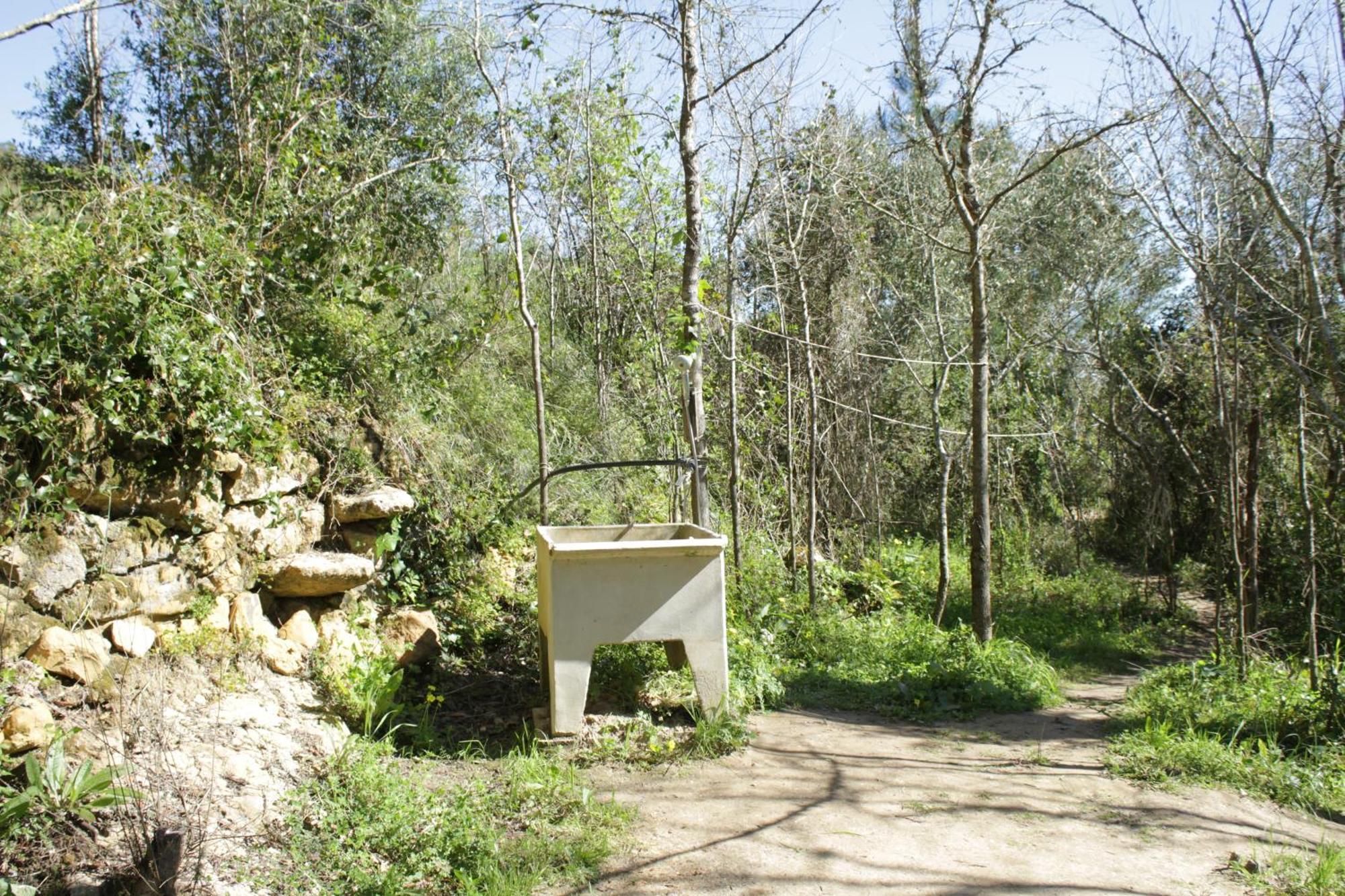 Campsite Hidden Forest Retreat *