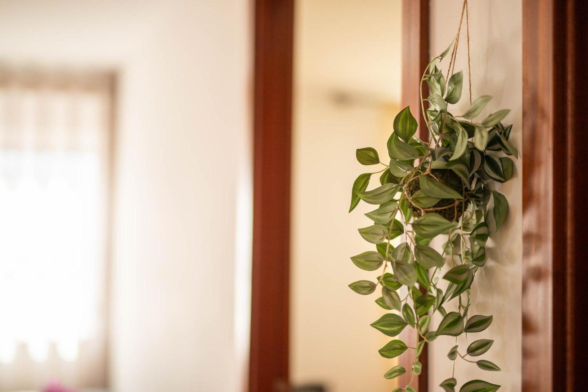 Apartment Cisterna Loft